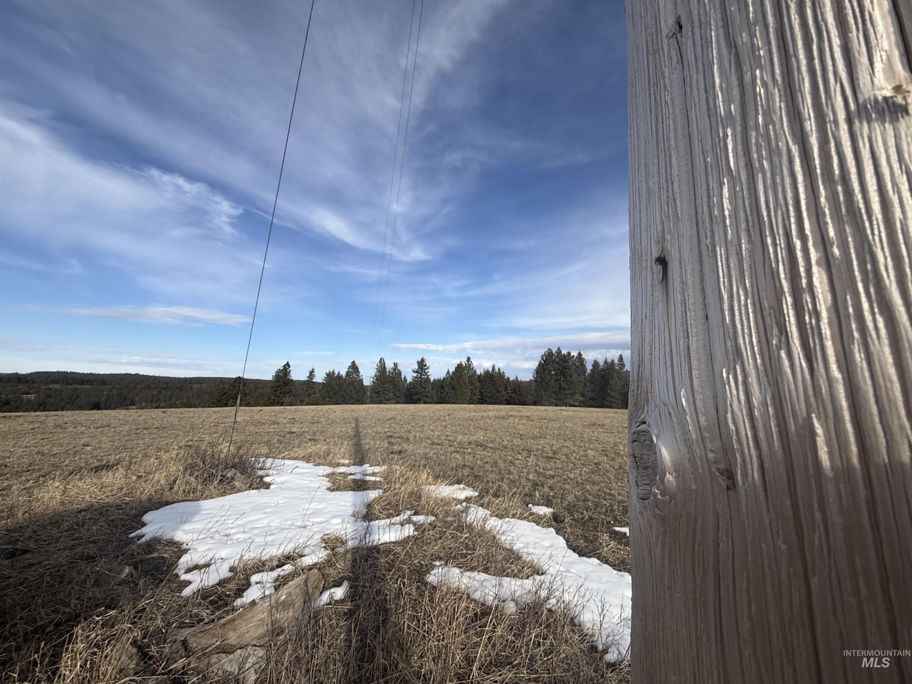 TBD Rieman Rd, CottonWood, Idaho 83522, Land For Sale, Price $895,000, 98974764