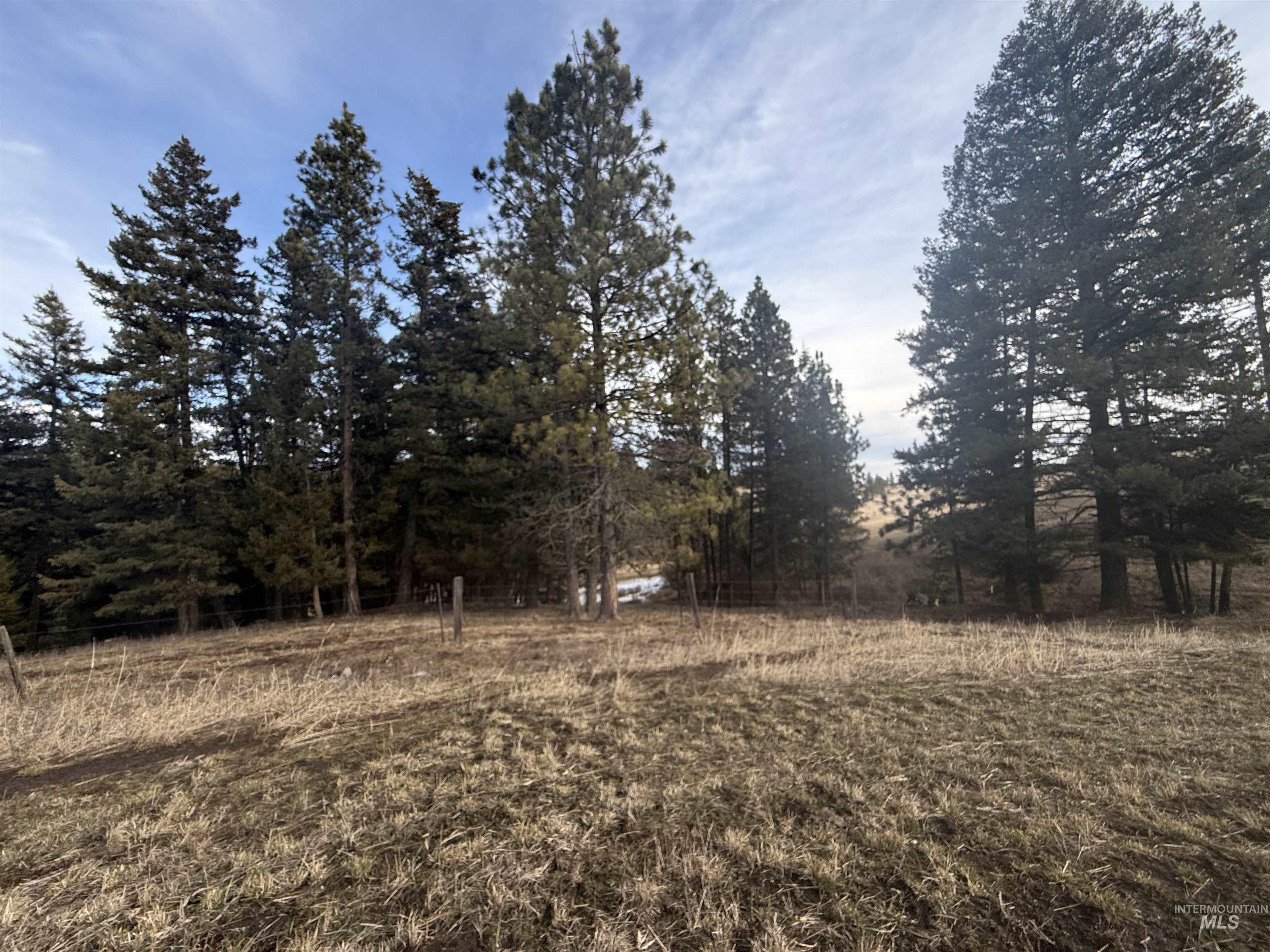 TBD Rieman Rd, CottonWood, Idaho 83522, Land For Sale, Price $895,000, 98974764
