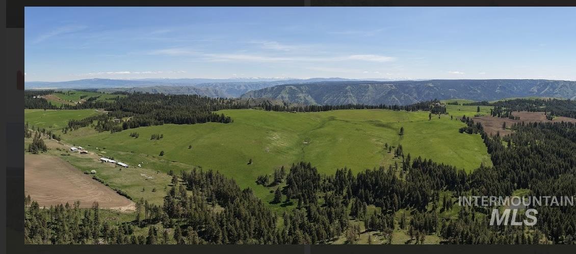 TBD Rieman Rd, CottonWood, Idaho 83522, Land For Sale, Price $895,000, 98974764