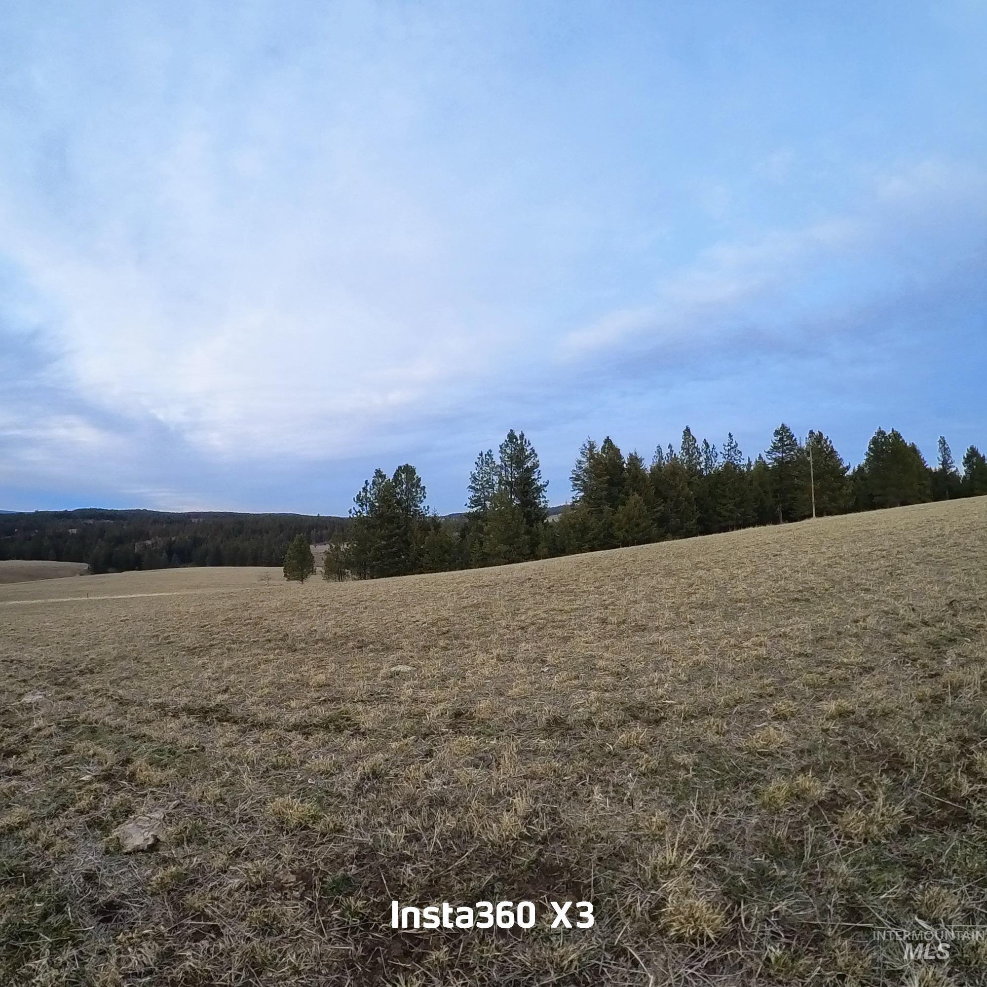 TBD Rieman Rd, CottonWood, Idaho 83522, Land For Sale, Price $895,000, 98974764