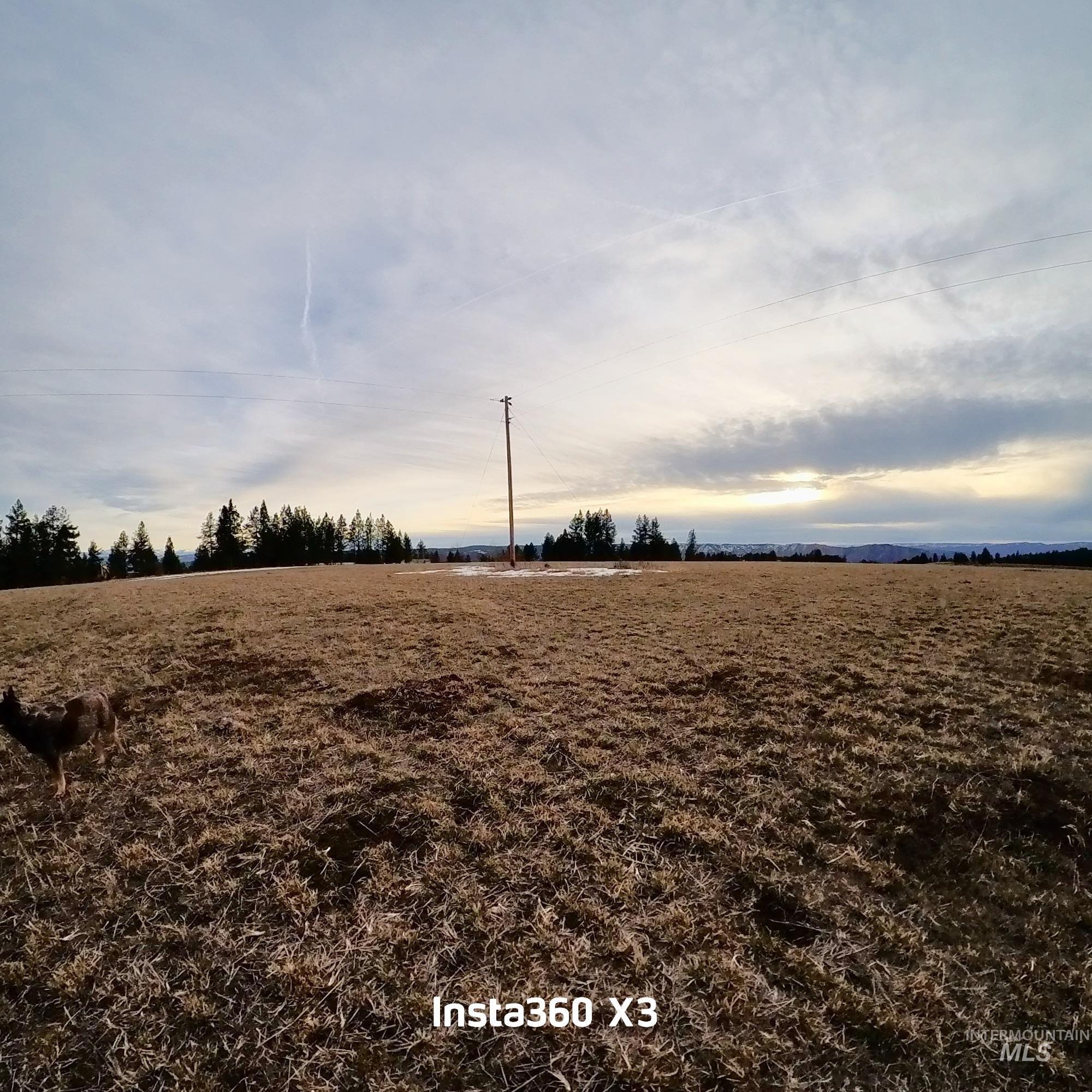 TBD Rieman Rd, CottonWood, Idaho 83522, Land For Sale, Price $895,000, 98974764