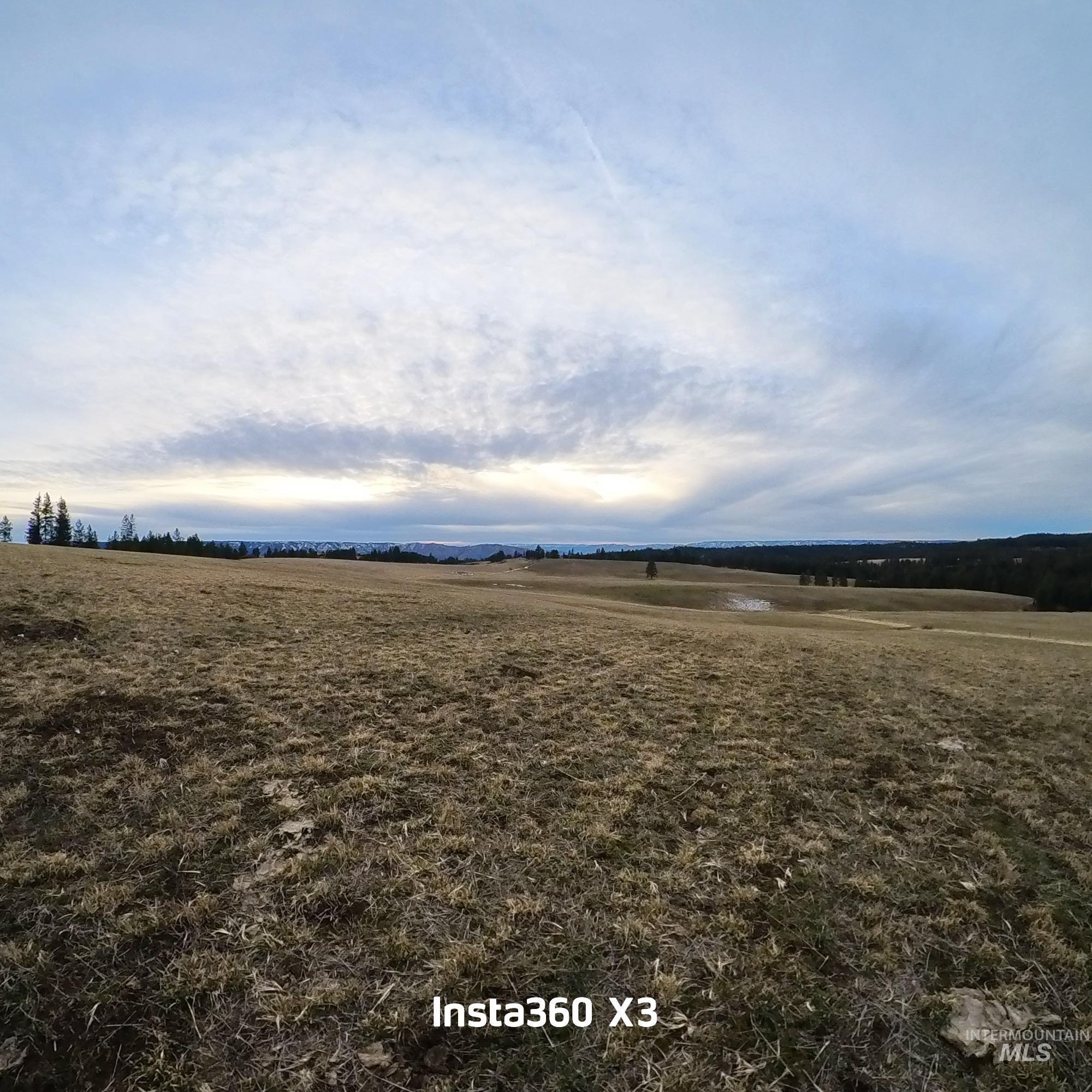 TBD Rieman Rd, CottonWood, Idaho 83522, Land For Sale, Price $895,000, 98974764