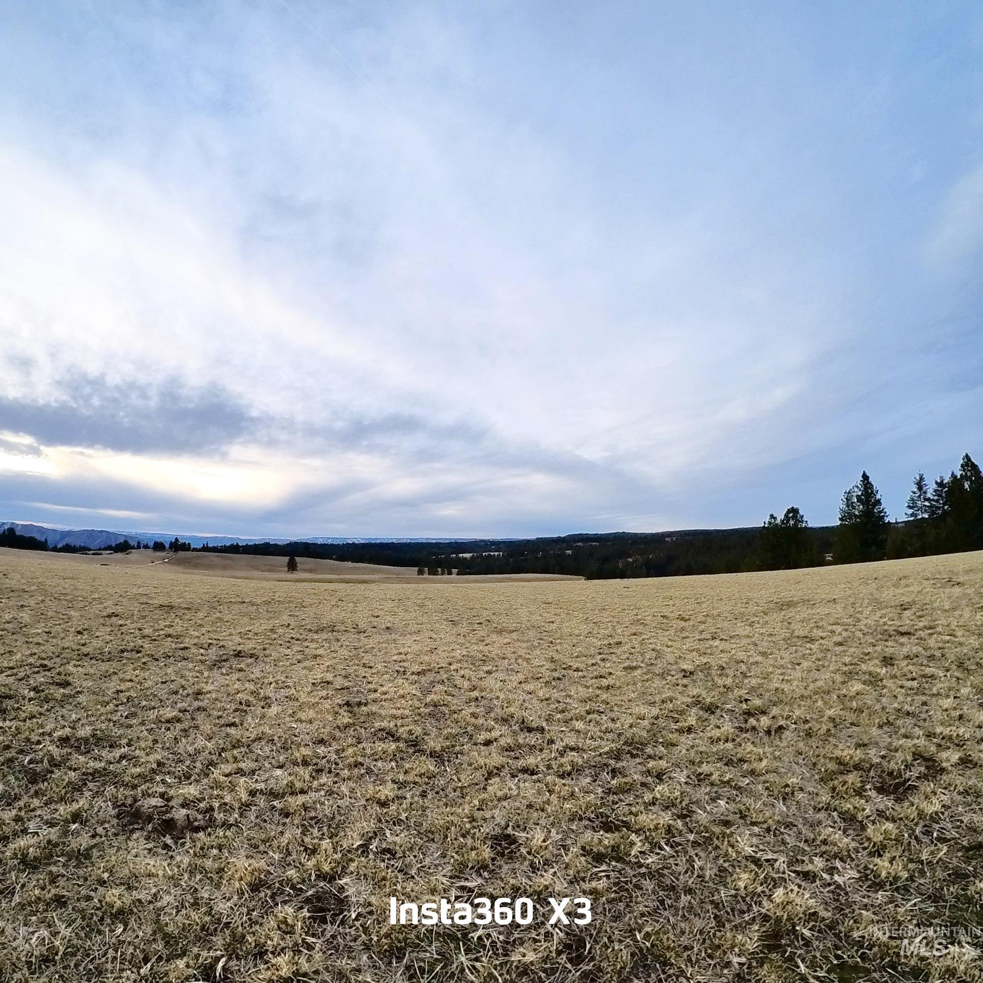 TBD Rieman Rd, CottonWood, Idaho 83522, Land For Sale, Price $895,000, 98974764