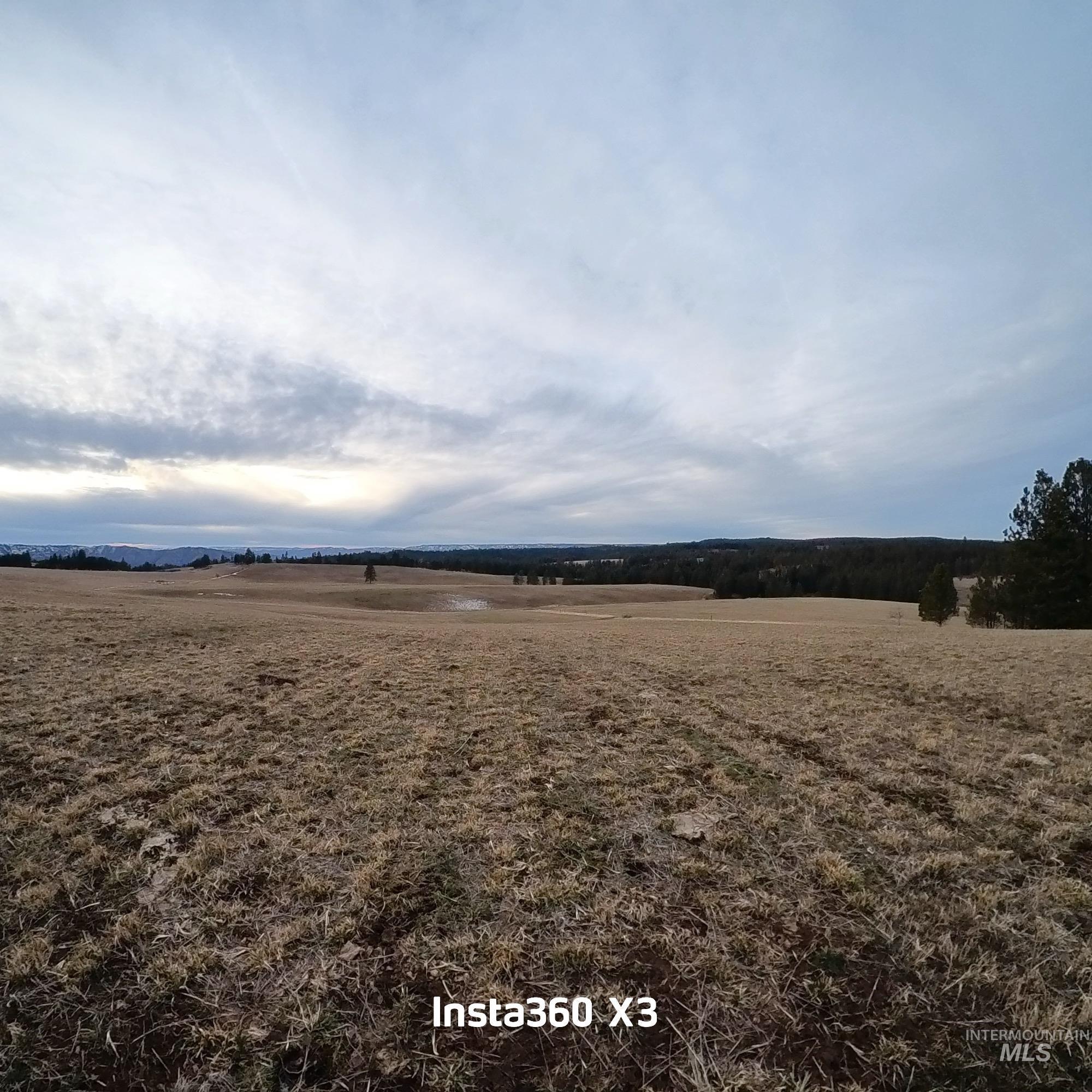 TBD Rieman Rd, CottonWood, Idaho 83522, Land For Sale, Price $895,000,MLS 98974764