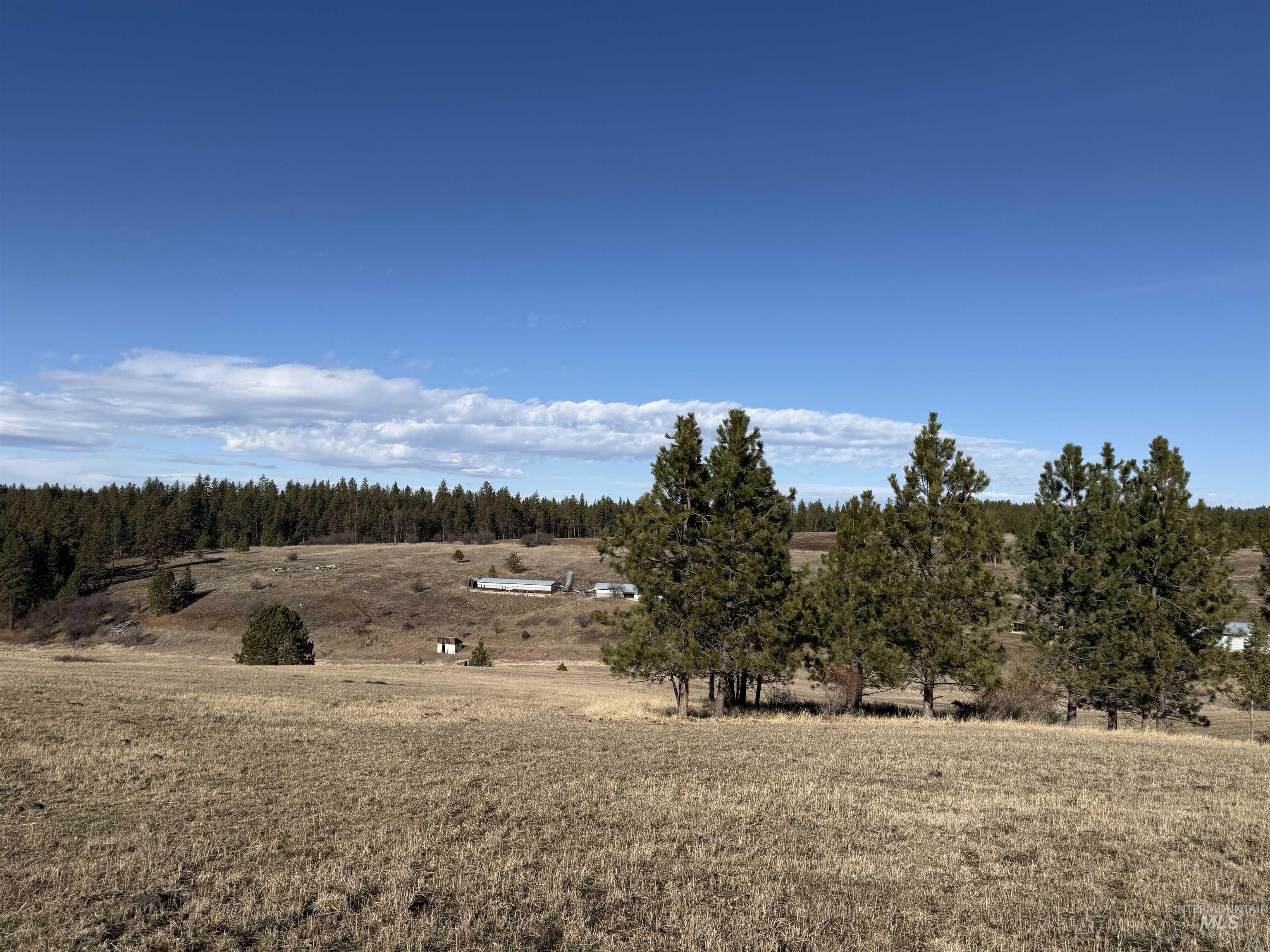 TBD Rieman Rd, CottonWood, Idaho 83522, Land For Sale, Price $895,000,MLS 98974764