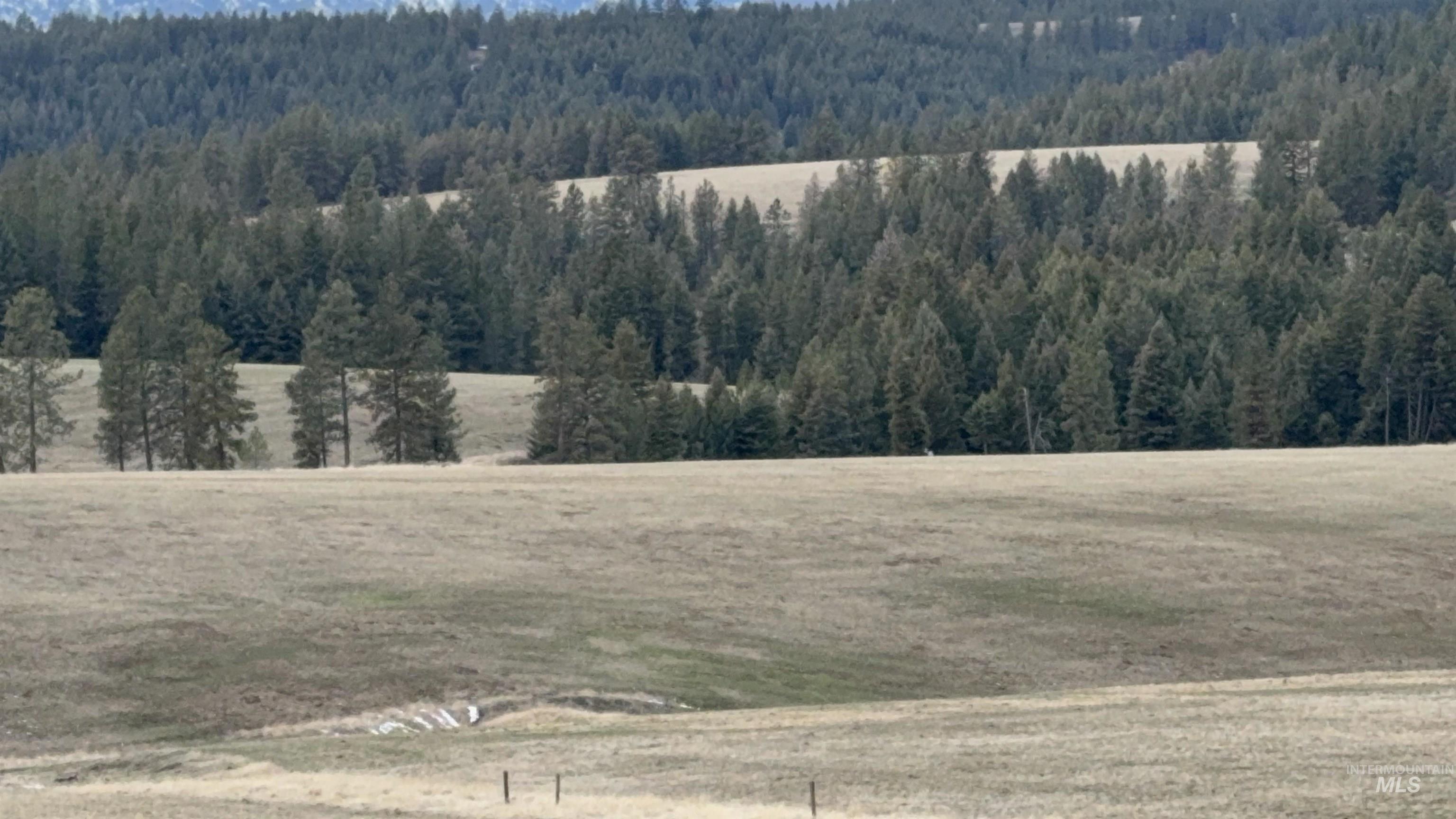 TBD Rieman Rd, CottonWood, Idaho 83522, Land For Sale, Price $895,000, 98974764