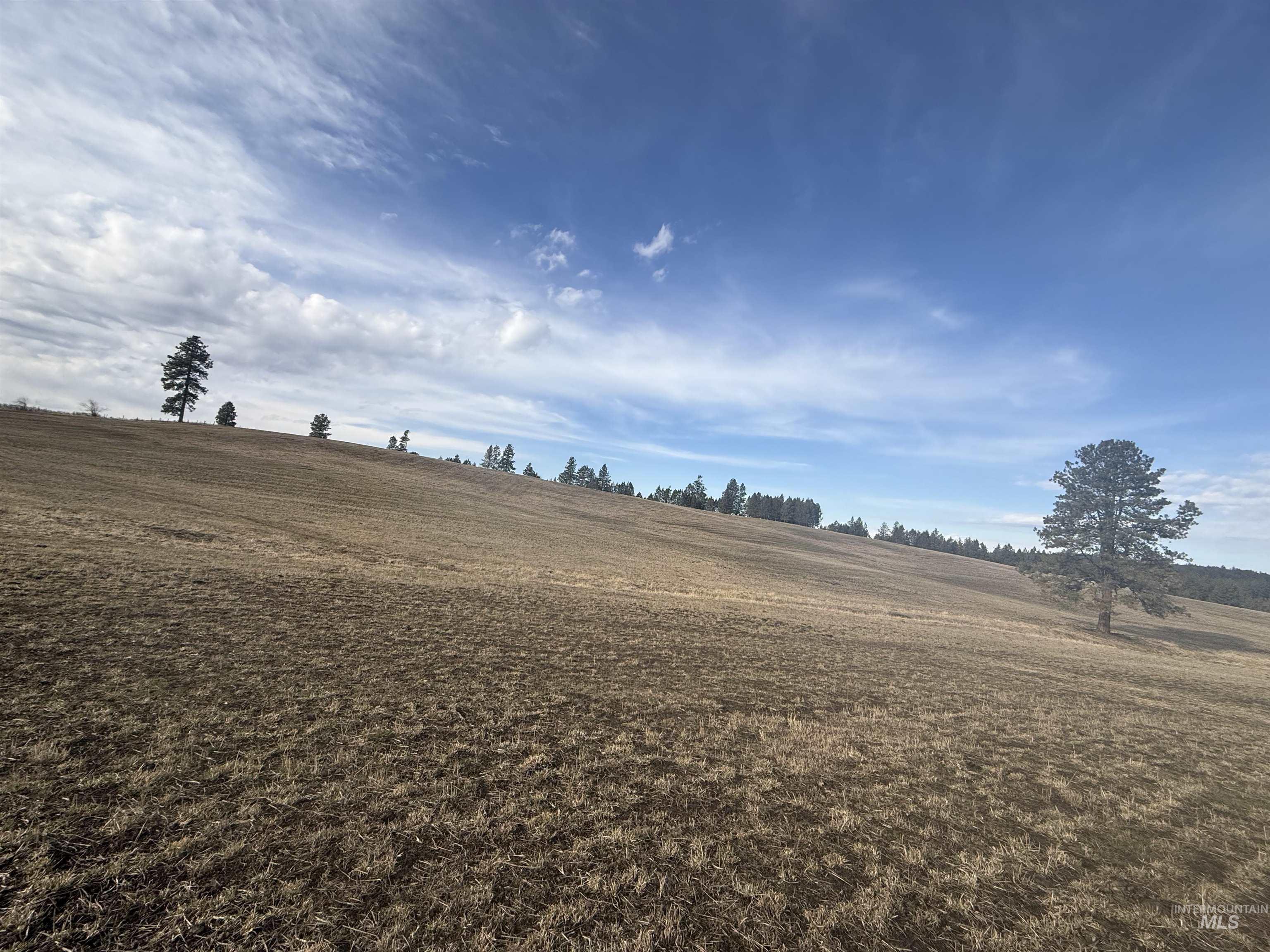 TBD Rieman Rd, CottonWood, Idaho 83522, Land For Sale, Price $895,000, 98974764