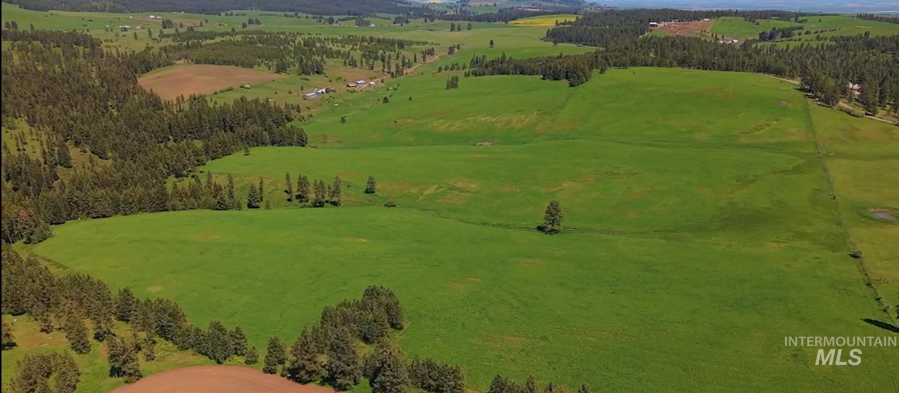 TBD Rieman Rd, CottonWood, Idaho 83522, Land For Sale, Price $895,000, 98974764