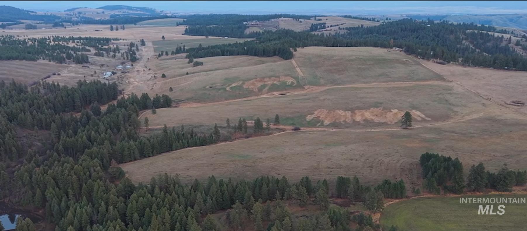 TBD Rieman Rd, CottonWood, Idaho 83522, Land For Sale, Price $895,000, 98974764