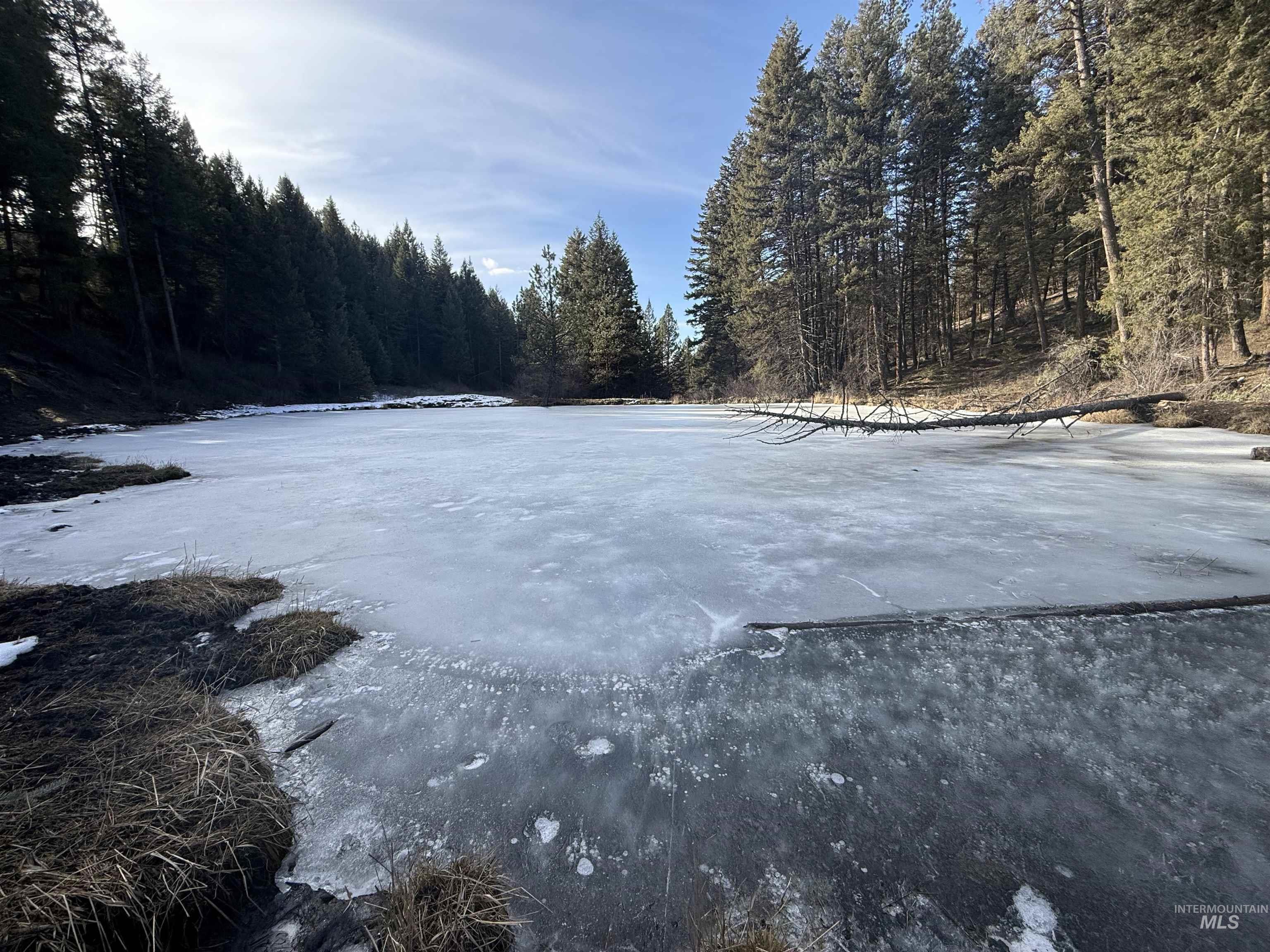 TBD Rieman Rd, CottonWood, Idaho 83522, Land For Sale, Price $895,000,MLS 98974764