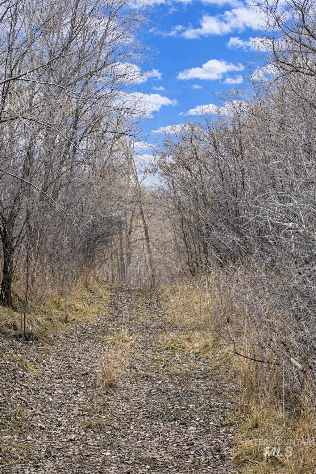 2050 E Medicine Wheel Ln, King Hill, Idaho 83633, 4 Bedrooms, 4 Bathrooms, Farm & Ranch For Sale, Price $1,500,000,MLS 98974852