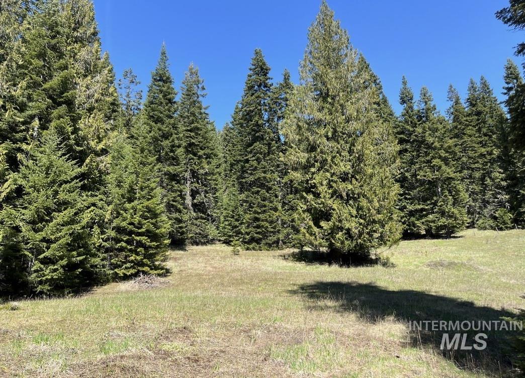 936 Red Fir, Kooskia, Idaho 83539, Land For Sale, Price $139,900, 98974860