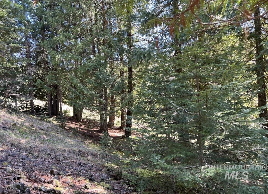 936 Red Fir, Kooskia, Idaho 83539, Land For Sale, Price $139,900,MLS 98974860