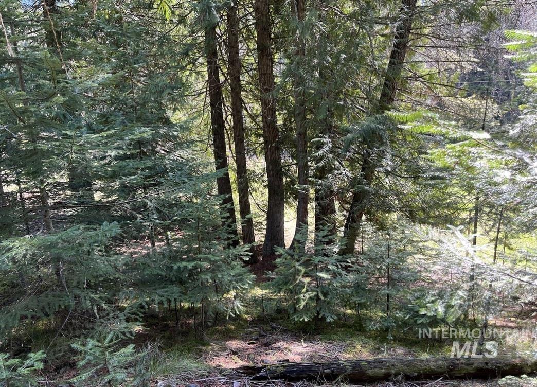 936 Red Fir, Kooskia, Idaho 83539, Land For Sale, Price $139,900, 98974860