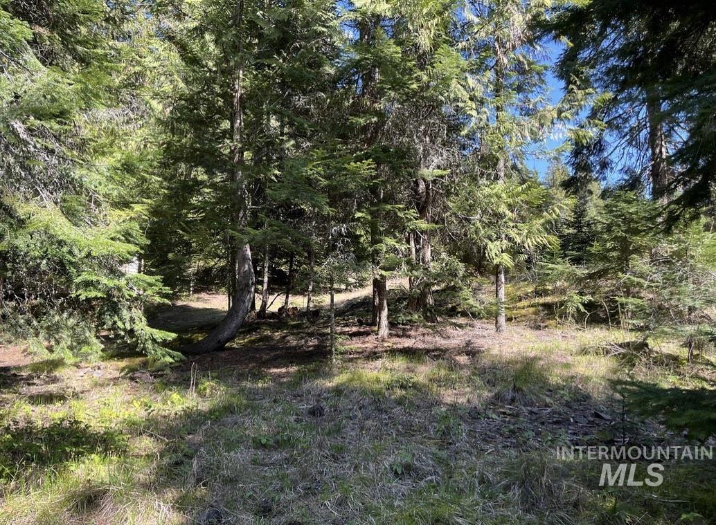 936 Red Fir, Kooskia, Idaho 83539, Land For Sale, Price $139,900,MLS 98974860