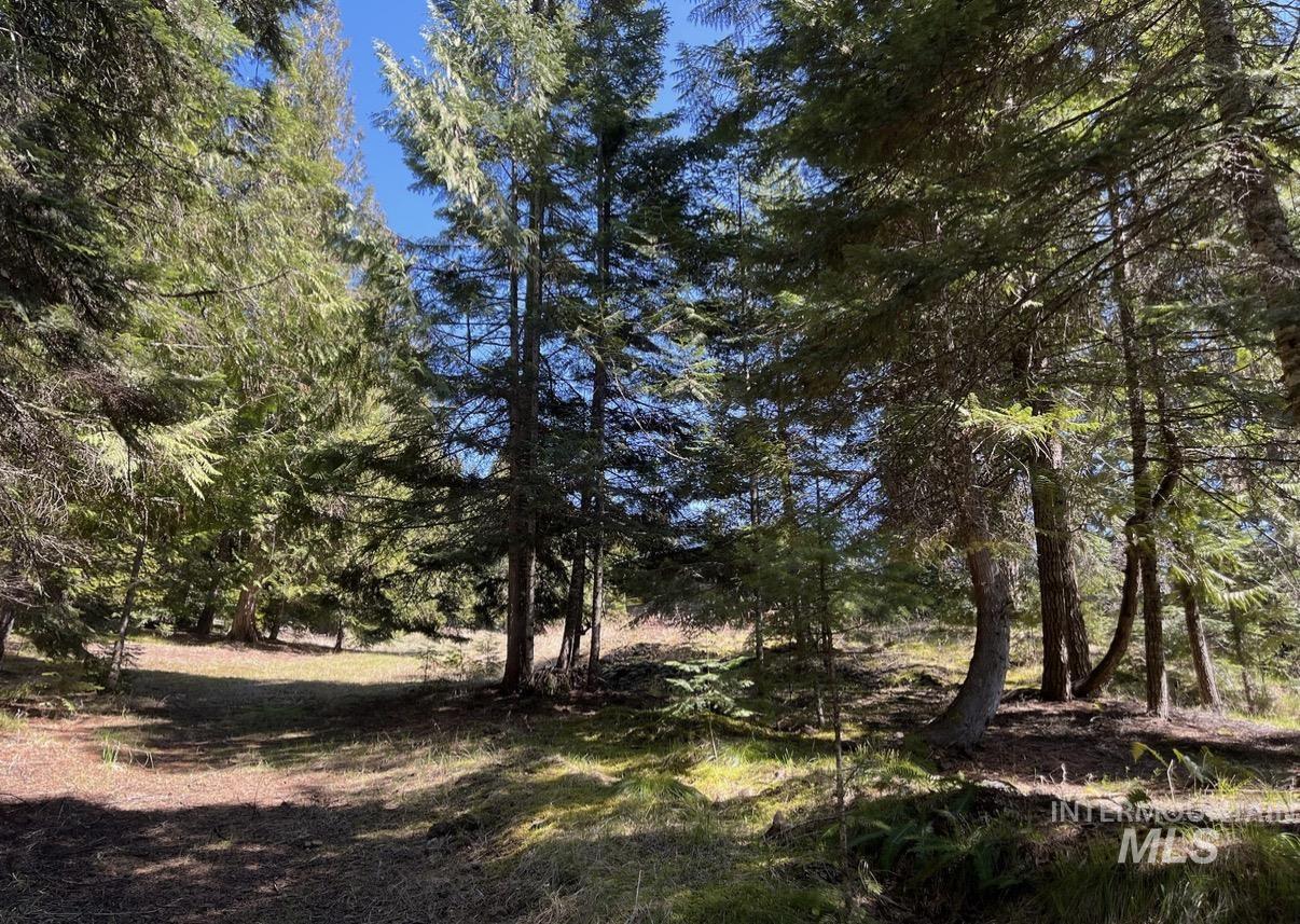 936 Red Fir, Kooskia, Idaho 83539, Land For Sale, Price $139,900,MLS 98974860