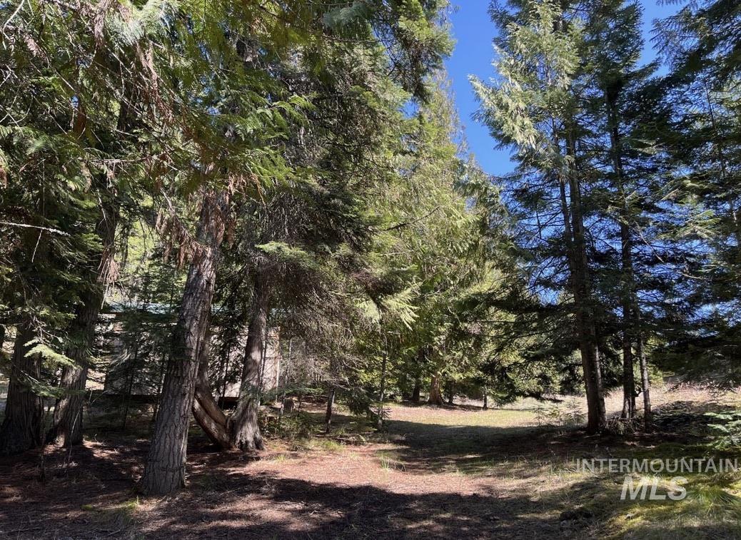 936 Red Fir, Kooskia, Idaho 83539, Land For Sale, Price $139,900,MLS 98974860