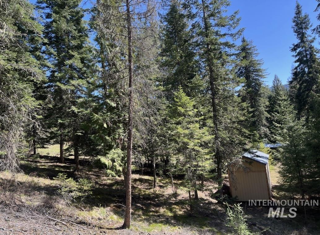 936 Red Fir, Kooskia, Idaho 83539, Land For Sale, Price $139,900,MLS 98974860