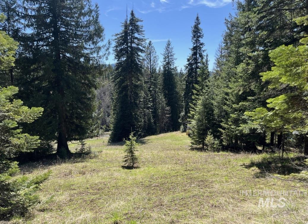 936 Red Fir, Kooskia, Idaho 83539, Land For Sale, Price $139,900,MLS 98974860