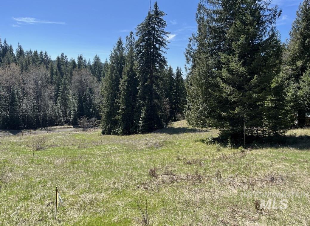936 Red Fir, Kooskia, Idaho 83539, Land For Sale, Price $139,900,MLS 98974860