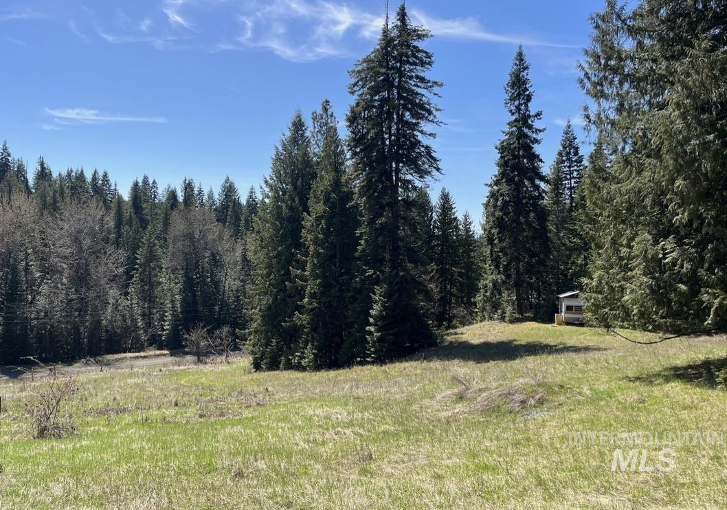 936 Red Fir, Kooskia, Idaho 83539, Land For Sale, Price $139,900,MLS 98974860