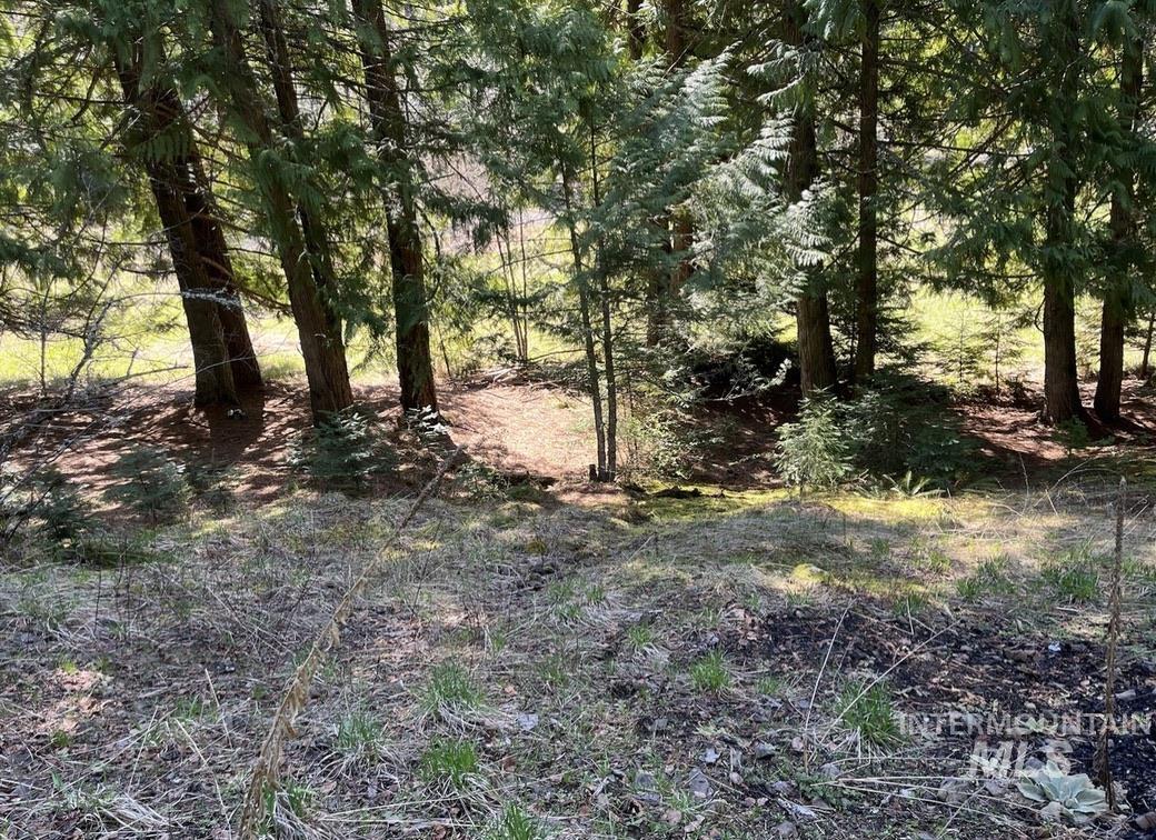 936 Red Fir, Kooskia, Idaho 83539, Land For Sale, Price $139,900, 98974860