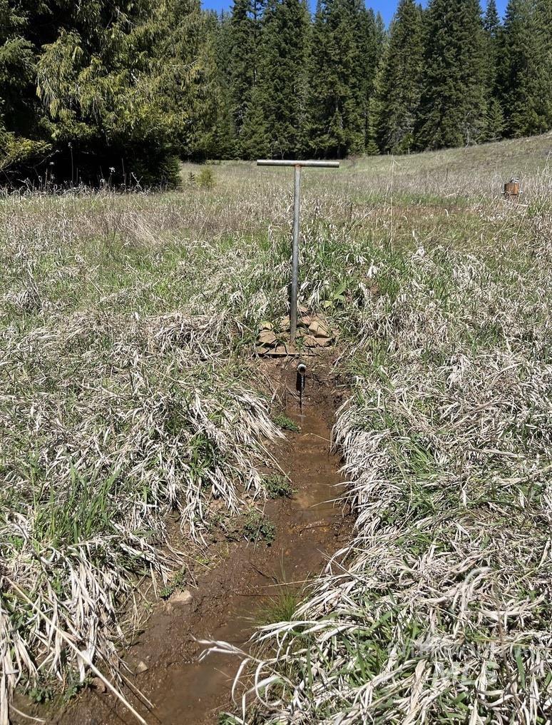 936 Red Fir, Kooskia, Idaho 83539, Land For Sale, Price $139,900,MLS 98974860