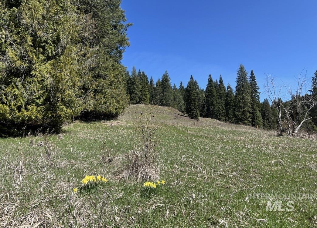 936 Red Fir, Kooskia, Idaho 83539, Land For Sale, Price $139,900,MLS 98974860