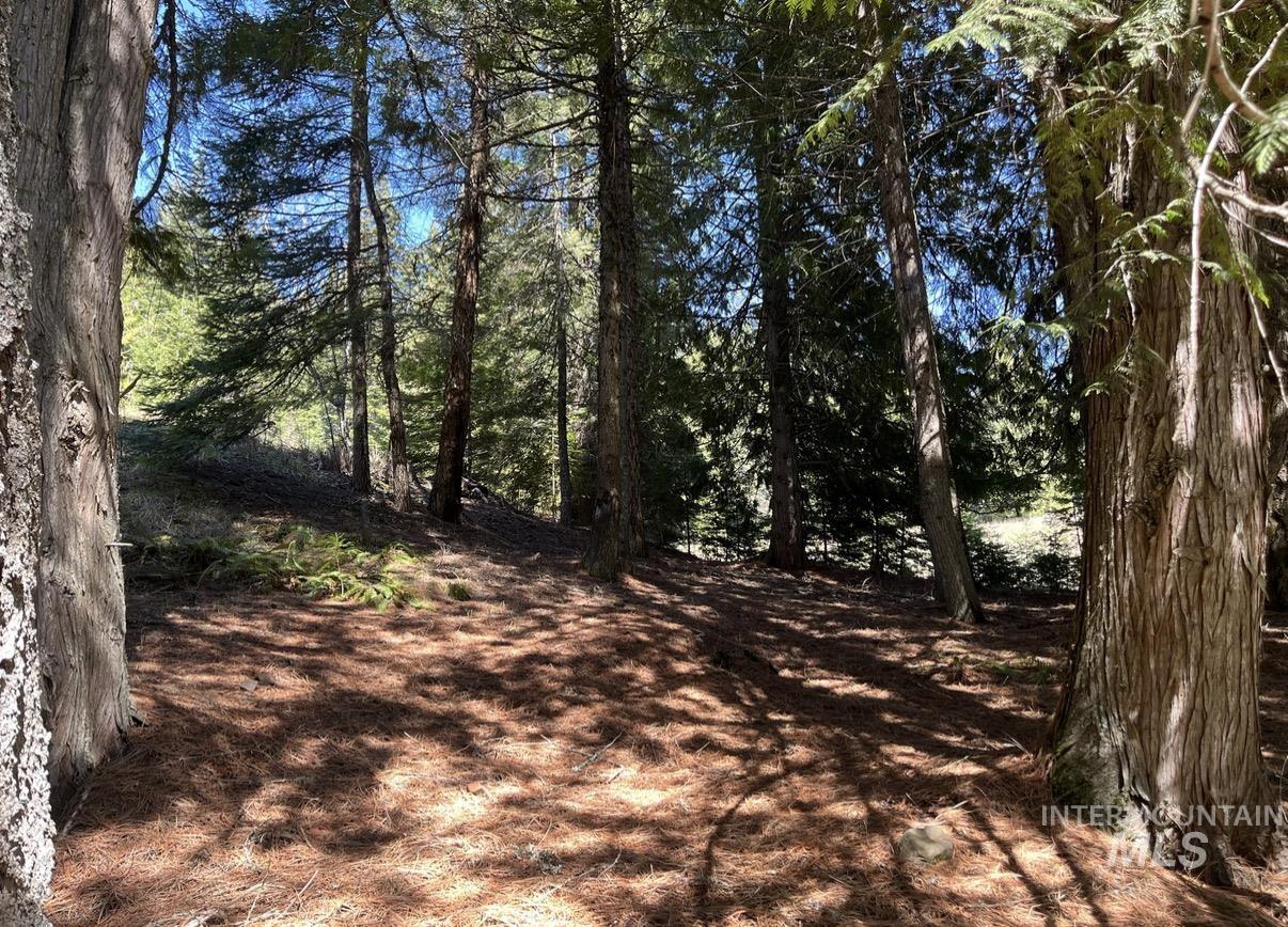 936 Red Fir, Kooskia, Idaho 83539, Land For Sale, Price $139,900,MLS 98974860