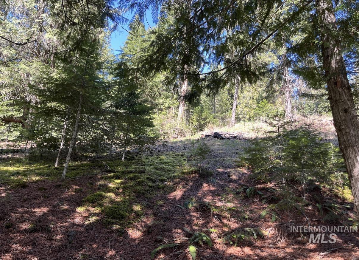 936 Red Fir, Kooskia, Idaho 83539, Land For Sale, Price $139,900, 98974860