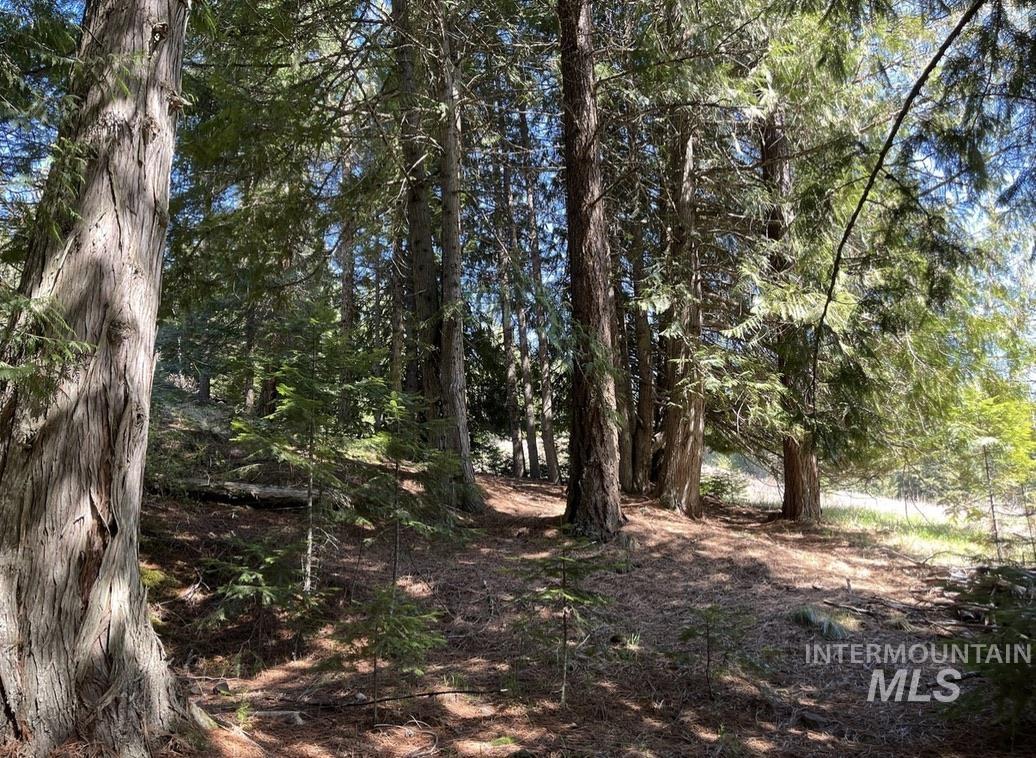 936 Red Fir, Kooskia, Idaho 83539, Land For Sale, Price $139,900, 98974860
