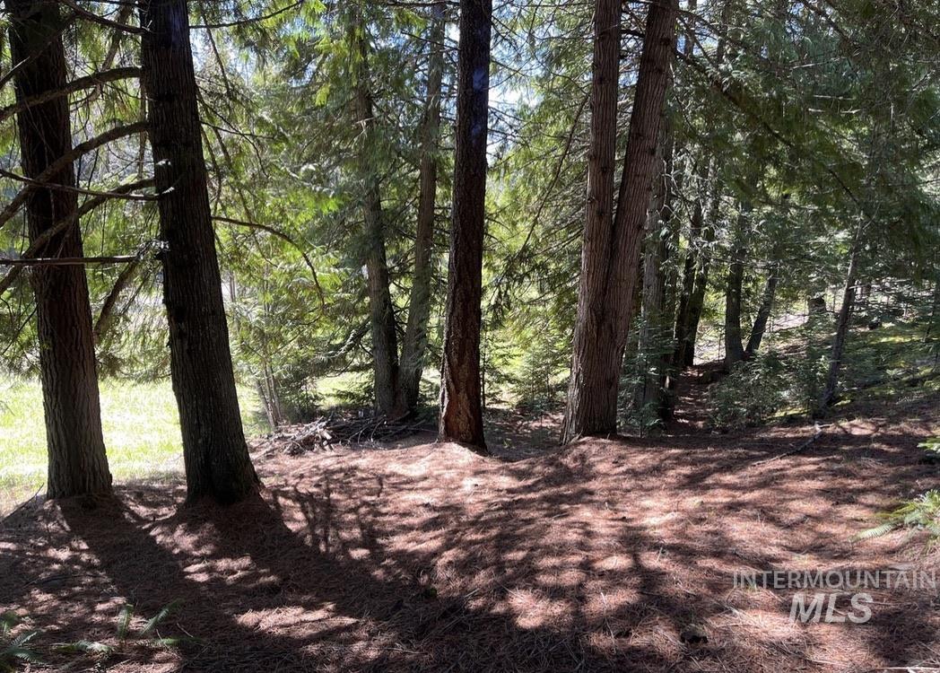 936 Red Fir, Kooskia, Idaho 83539, Land For Sale, Price $139,900, 98974860