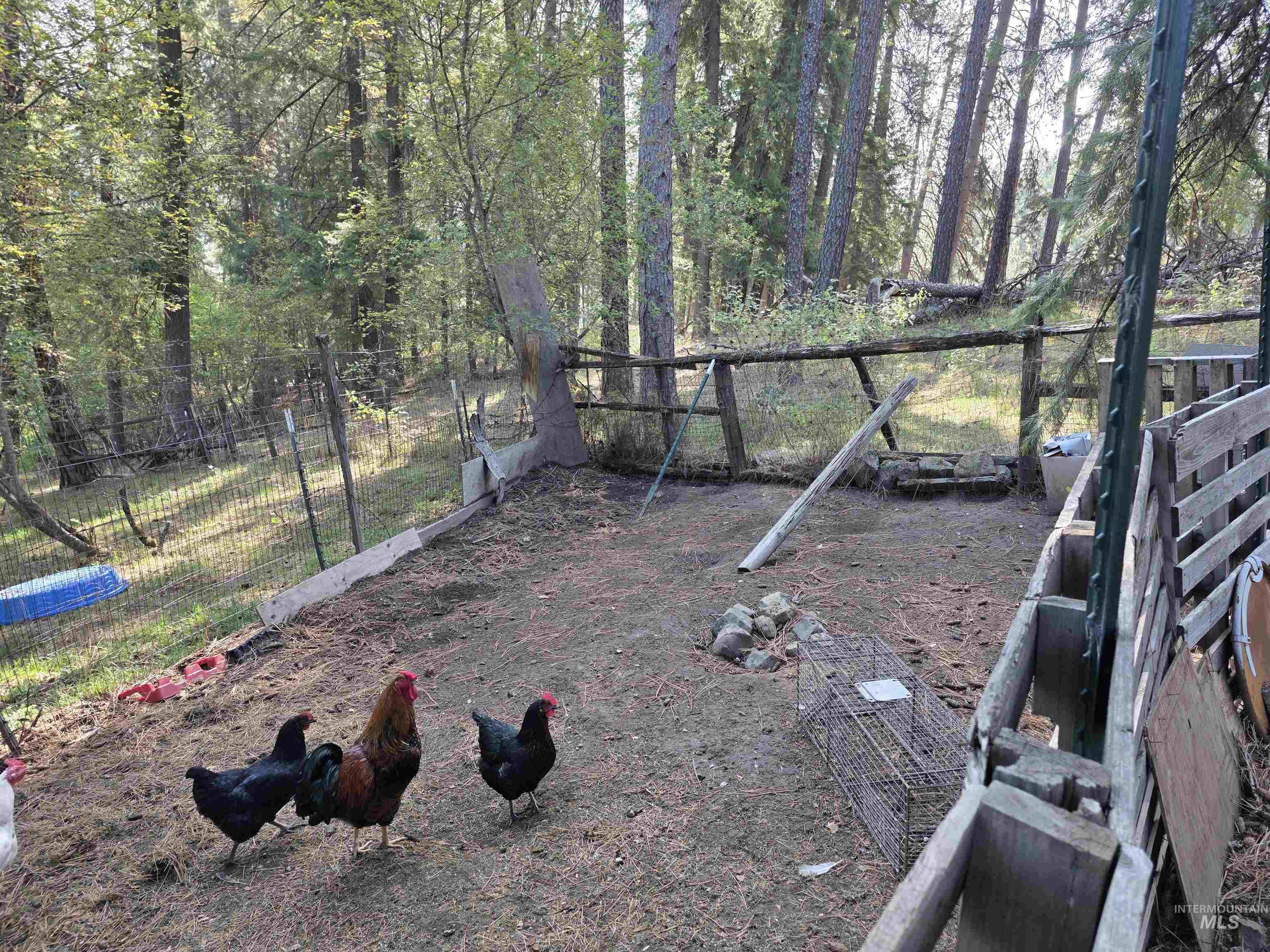 122 Oak Lane, Orofino, Idaho 83544, 3 Bedrooms, 3 Bathrooms, Residential For Sale, Price $390,000,MLS 98974871