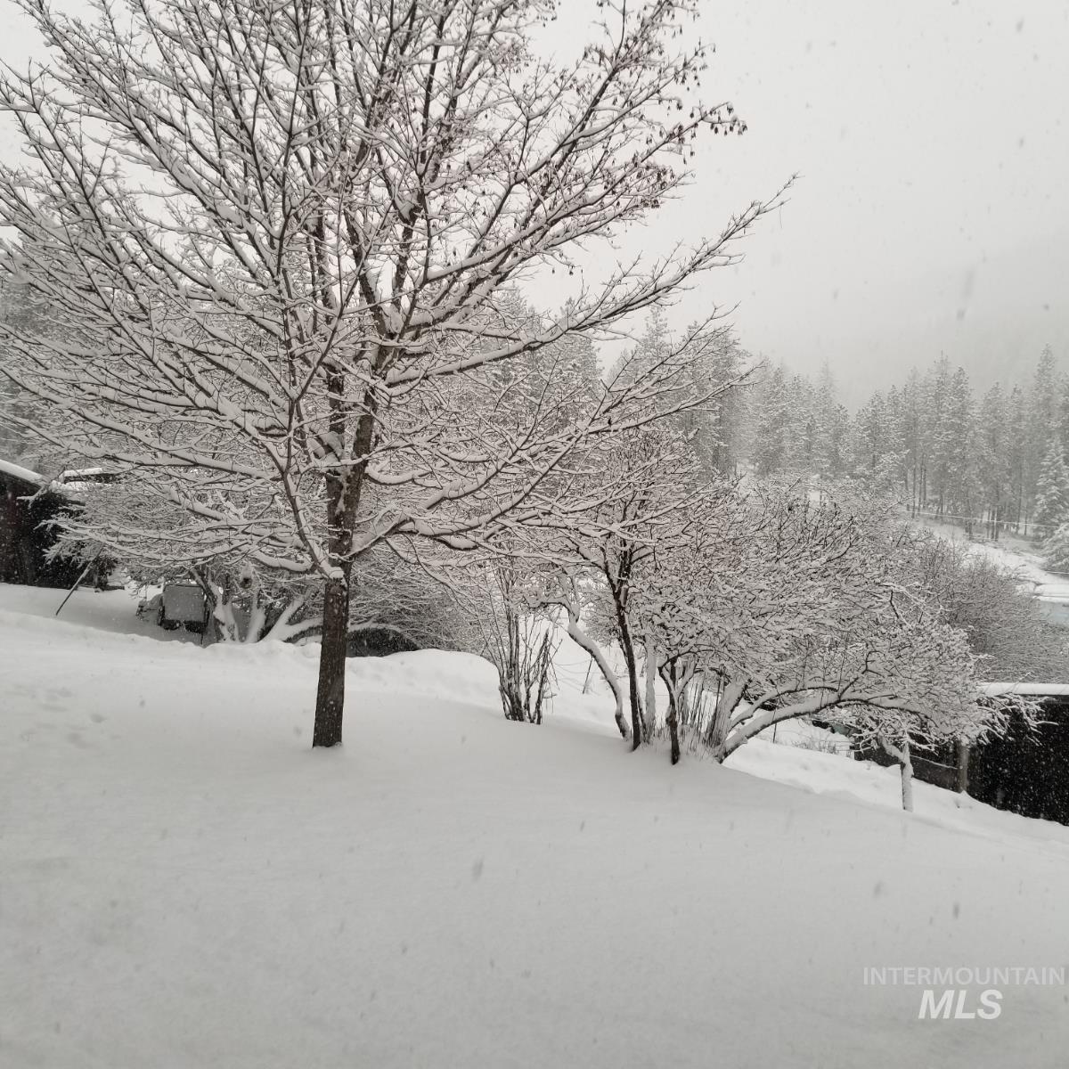 122 Oak Lane, Orofino, Idaho 83544, 3 Bedrooms, 3 Bathrooms, Residential For Sale, Price $390,000,MLS 98974871