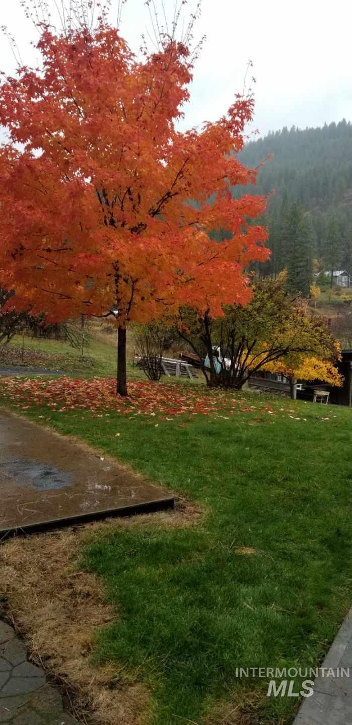 122 Oak Lane, Orofino, Idaho 83544, 3 Bedrooms, 3 Bathrooms, Residential For Sale, Price $390,000,MLS 98974871