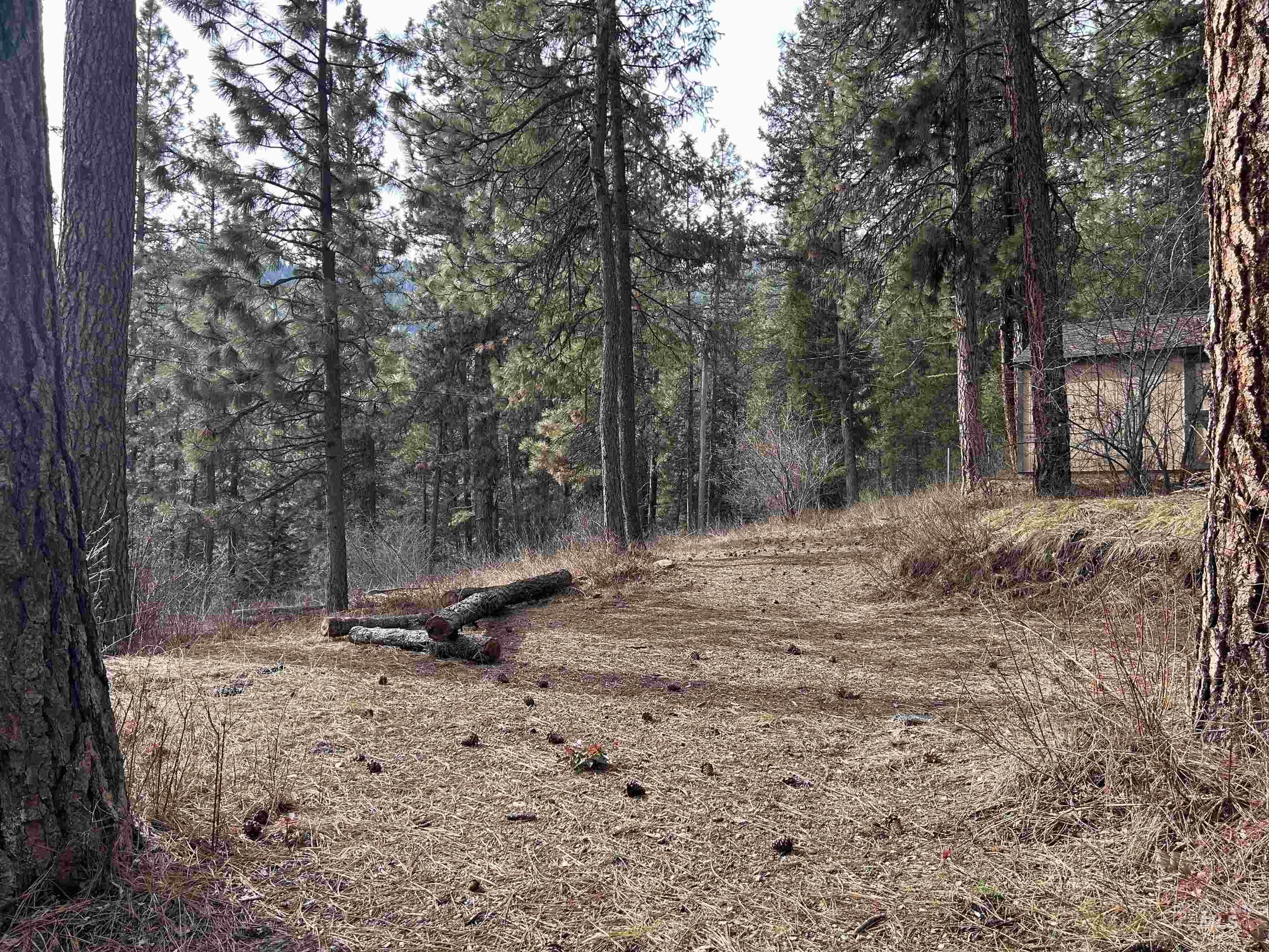 37 Aspen Dr, Garden Valley, Idaho 83622, Land For Sale, Price $255,000,MLS 98974905