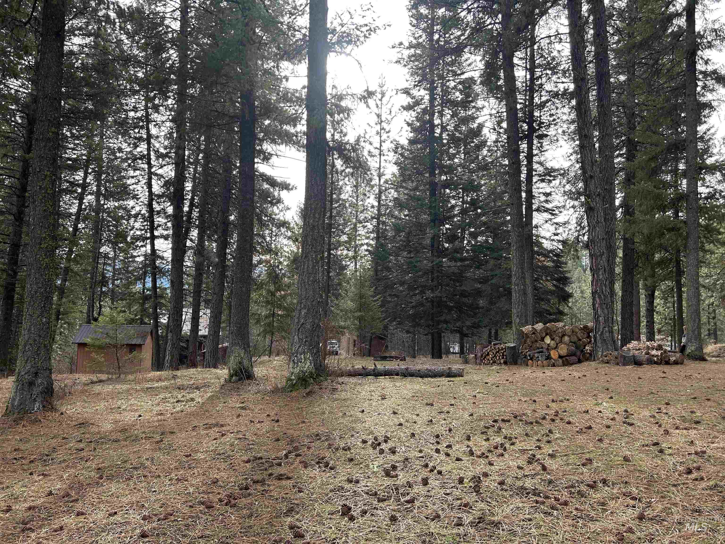 37 Aspen Dr, Garden Valley, Idaho 83622, Land For Sale, Price $255,000,MLS 98974905
