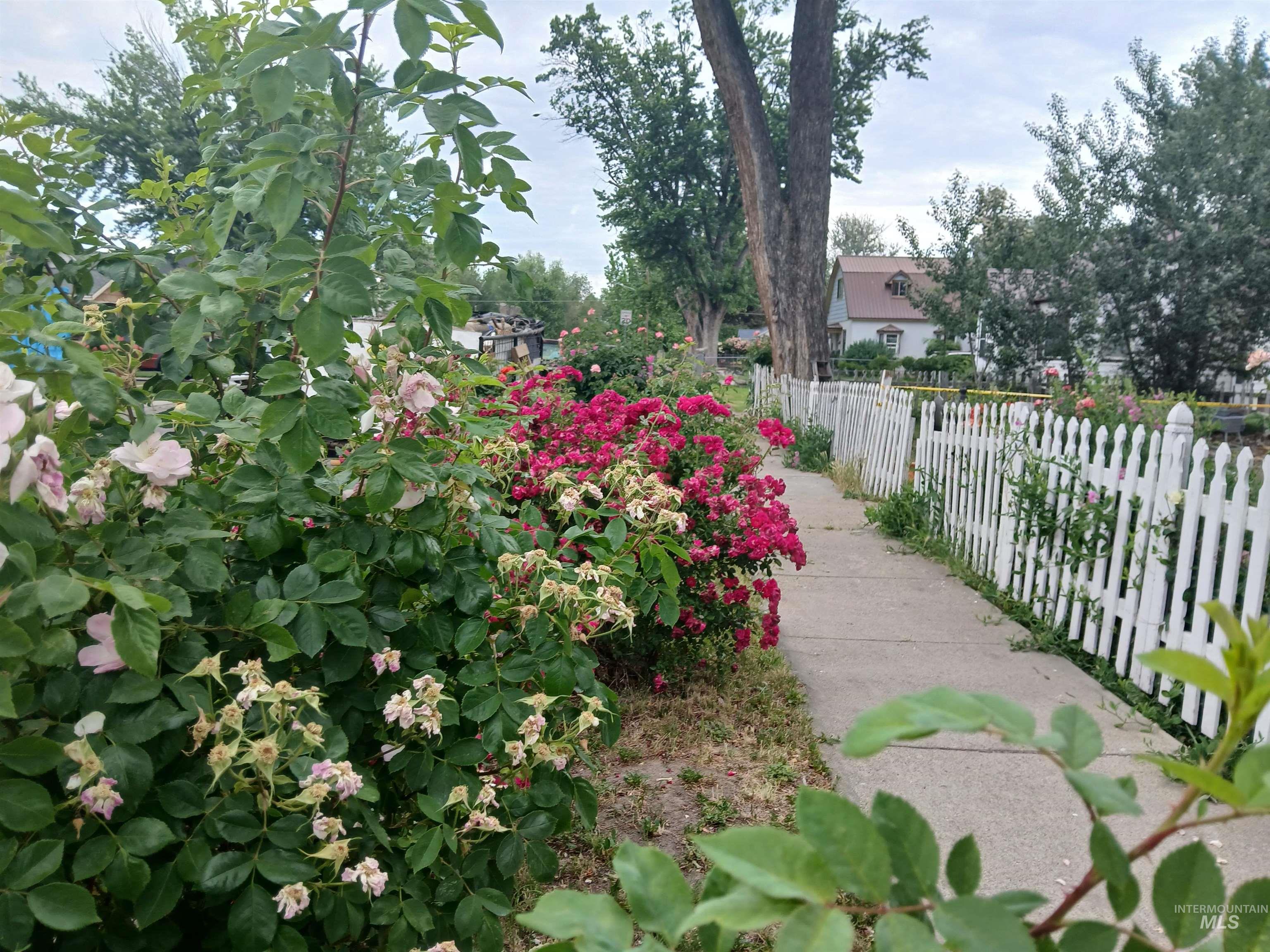 310 N 9th E, Mountain Home, Idaho 83647, 4 Bedrooms, 2 Bathrooms, Residential For Sale, Price $280,000,MLS 98974917