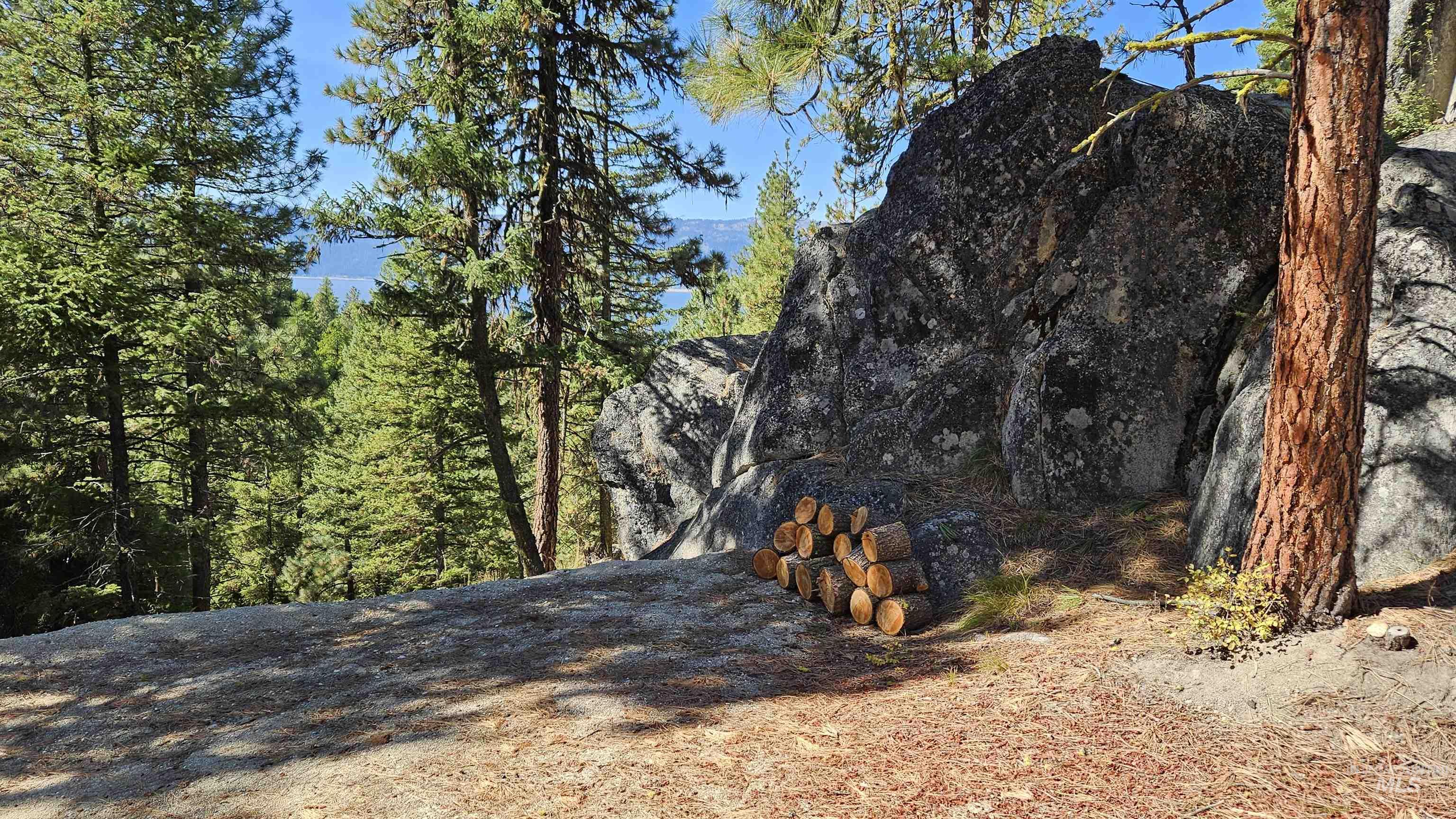 1618 Crown Point Parkway, Cascade, Idaho 83611, Land For Sale, Price $399,000,MLS 98974962