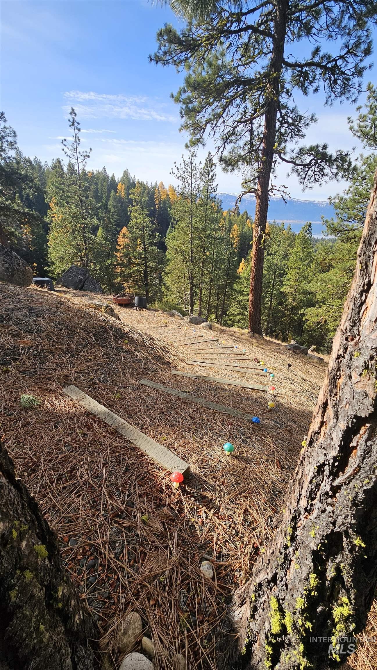 1618 Crown Point Parkway, Cascade, Idaho 83611, Land For Sale, Price $399,000,MLS 98974962