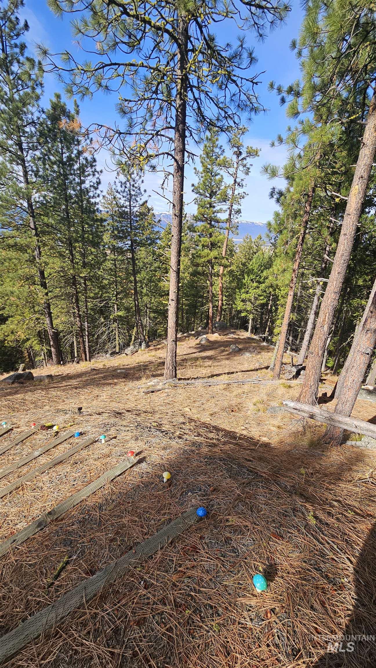 1618 Crown Point Parkway, Cascade, Idaho 83611, Land For Sale, Price $399,000,MLS 98974962