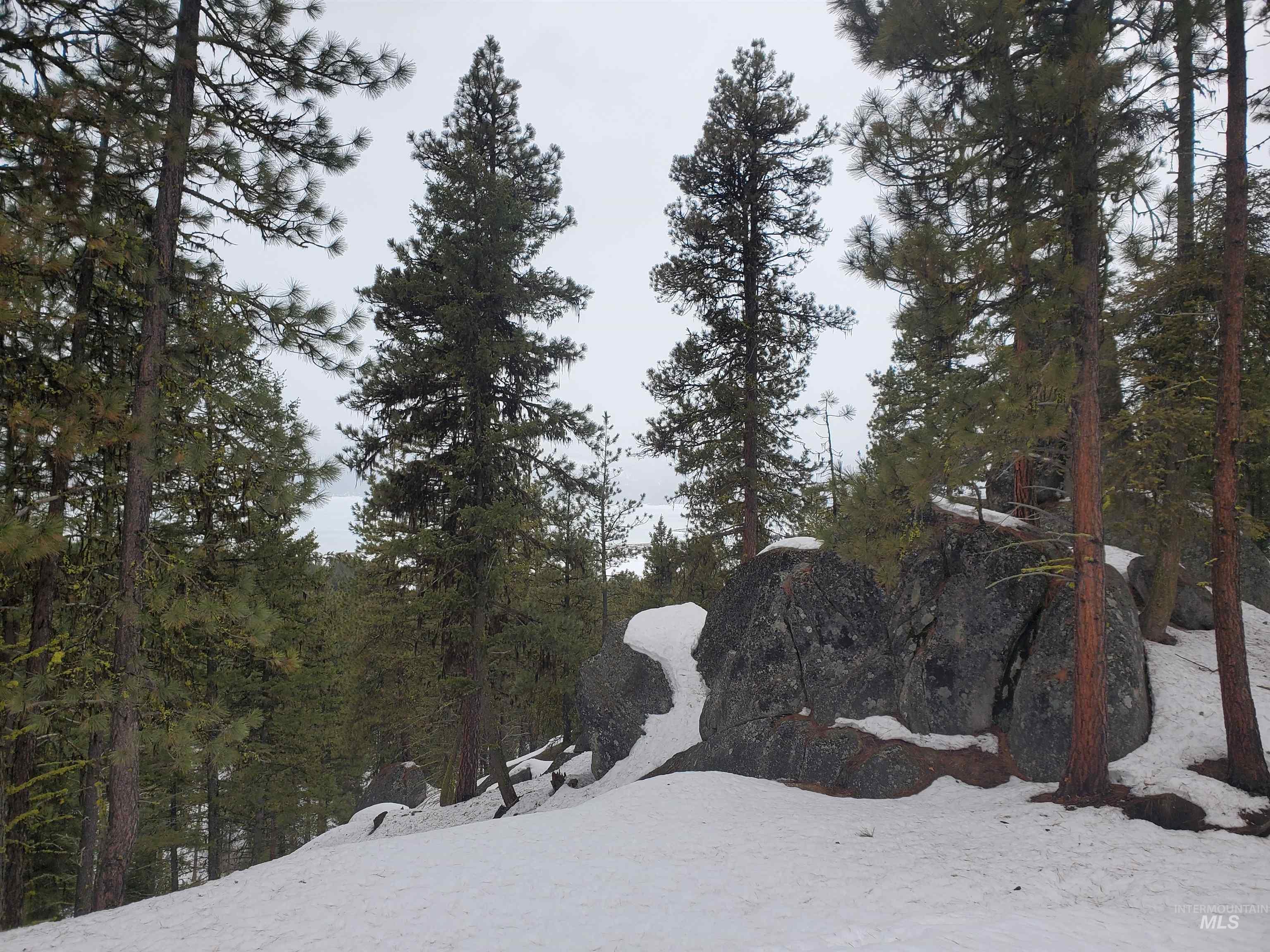 1618 Crown Point Parkway, Cascade, Idaho 83611, Land For Sale, Price $399,000,MLS 98974962