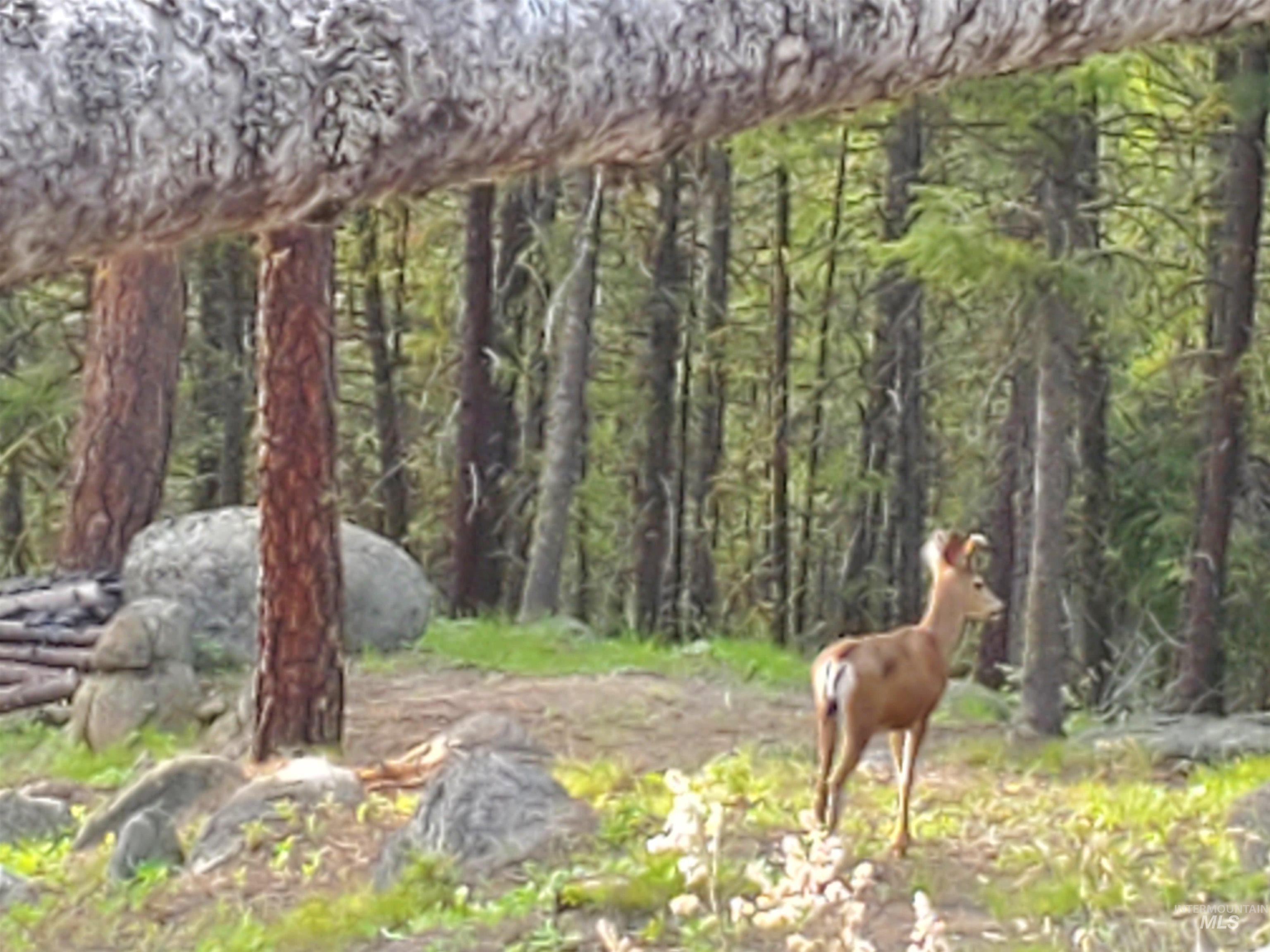 1618 Crown Point Parkway, Cascade, Idaho 83611, Land For Sale, Price $399,000,MLS 98974962