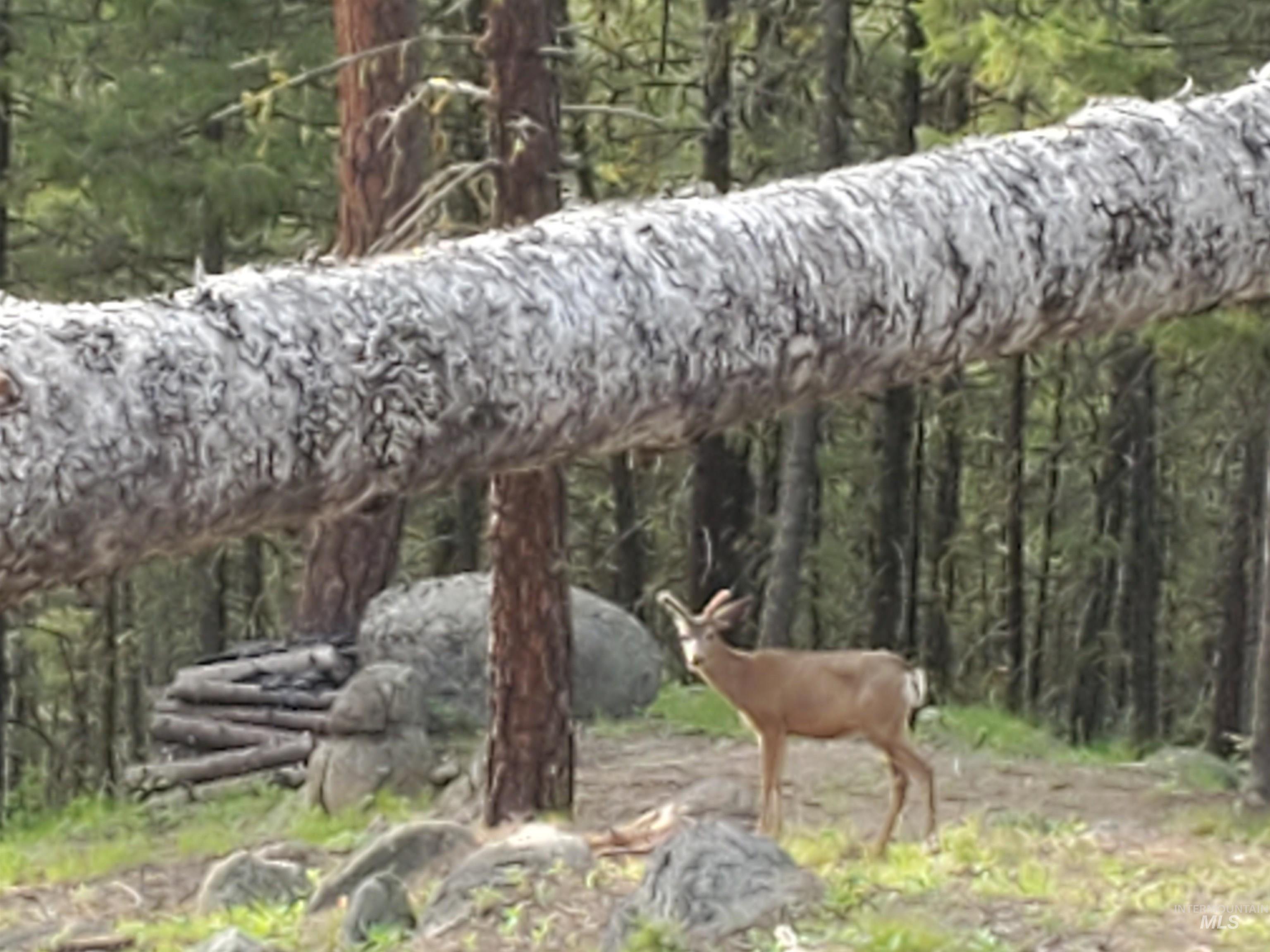 1618 Crown Point Parkway, Cascade, Idaho 83611, Land For Sale, Price $399,000,MLS 98974962