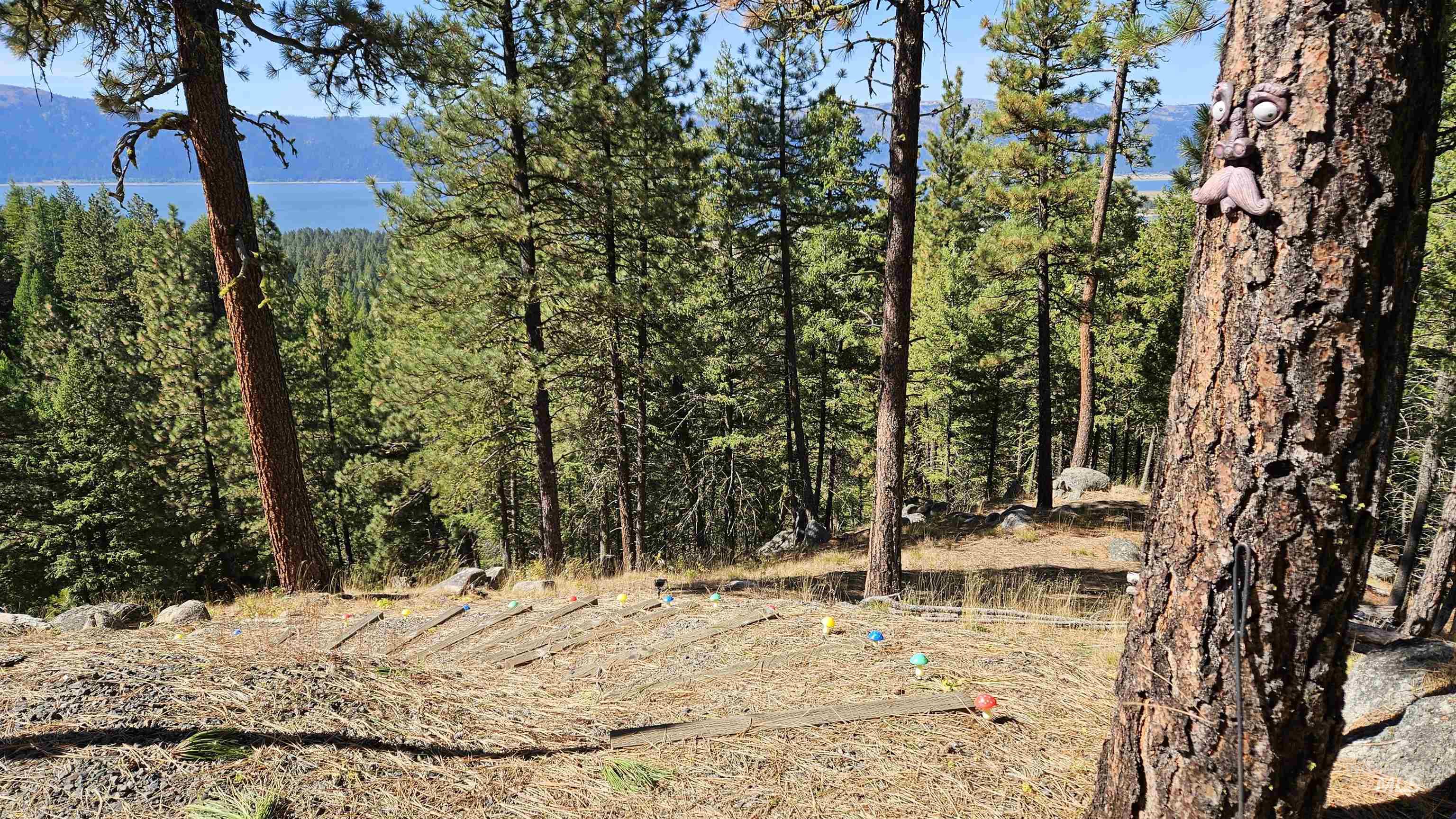 1618 Crown Point Parkway, Cascade, Idaho 83611, Land For Sale, Price $399,000,MLS 98974962