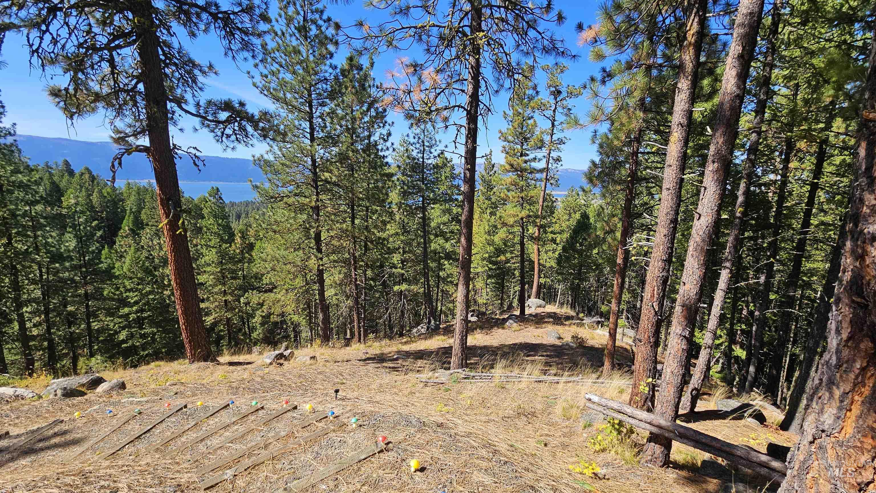 1618 Crown Point Parkway, Cascade, Idaho 83611, Land For Sale, Price $399,000,MLS 98974962