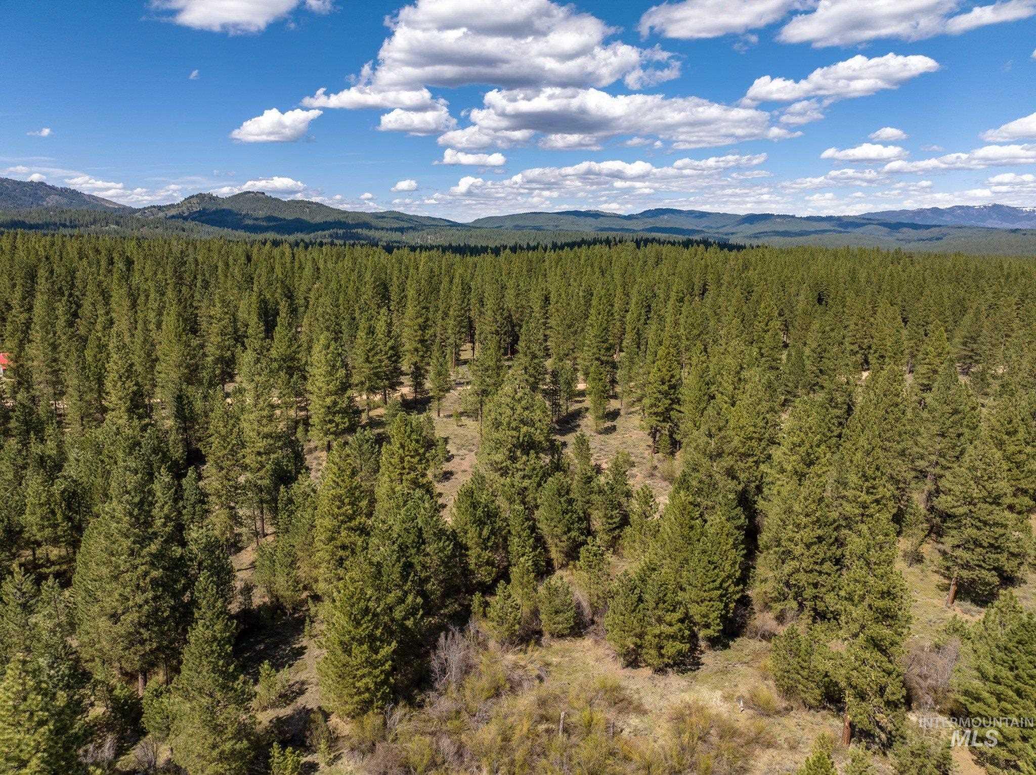 Lot 8 Star Creek Ct, Placerville, Idaho 83666, Land For Sale, Price $245,000,MLS 98974970