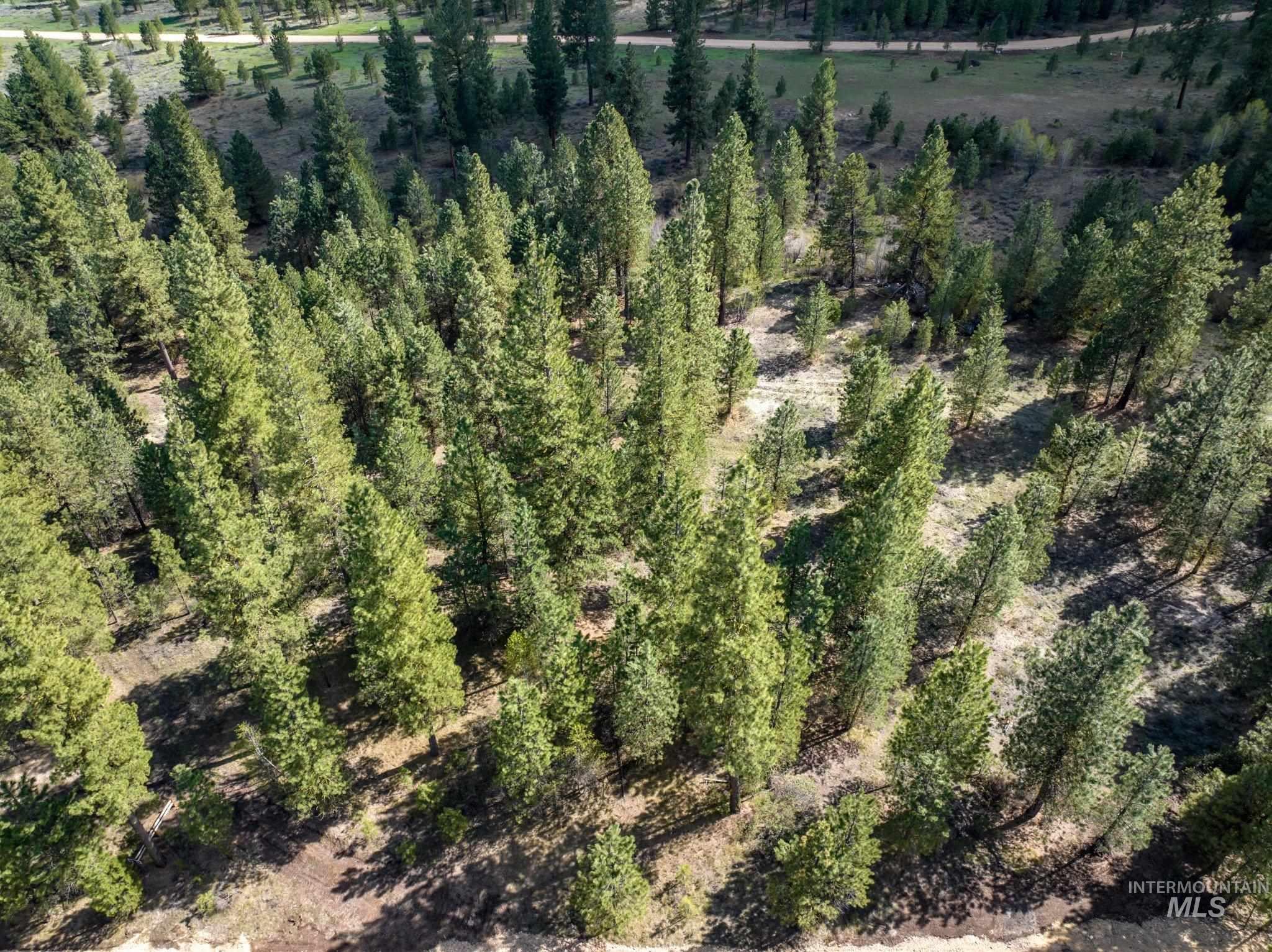 Lot 8 Star Creek Ct, Placerville, Idaho 83666, Land For Sale, Price $245,000,MLS 98974970
