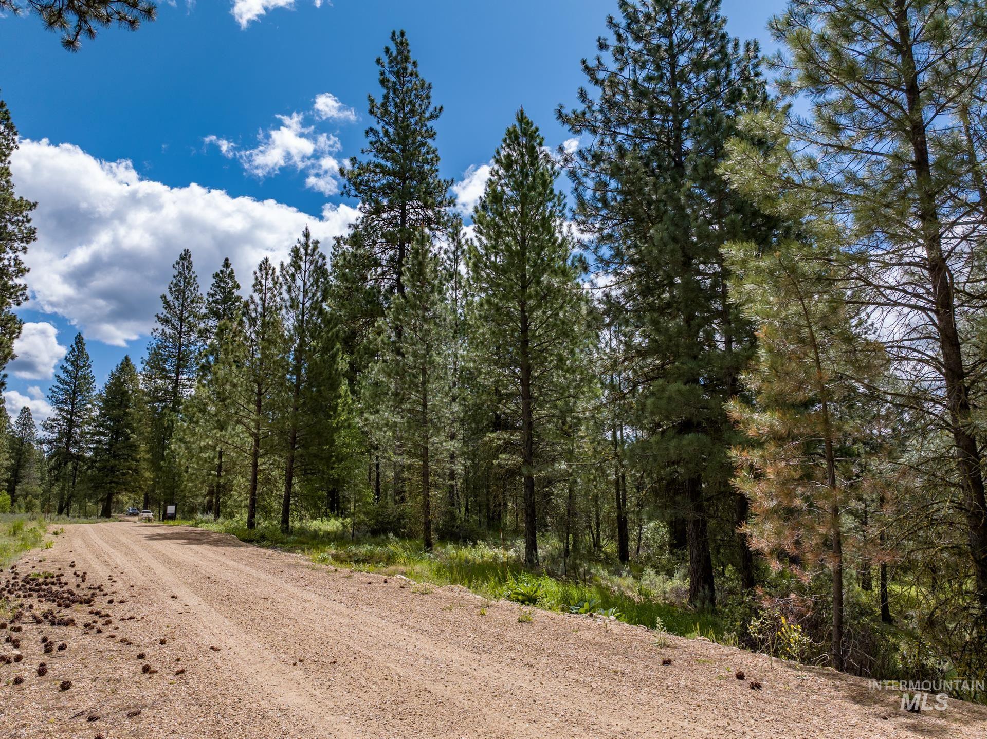Lot 8 Star Creek Ct, Placerville, Idaho 83666, Land For Sale, Price $240,000,MLS 98974970