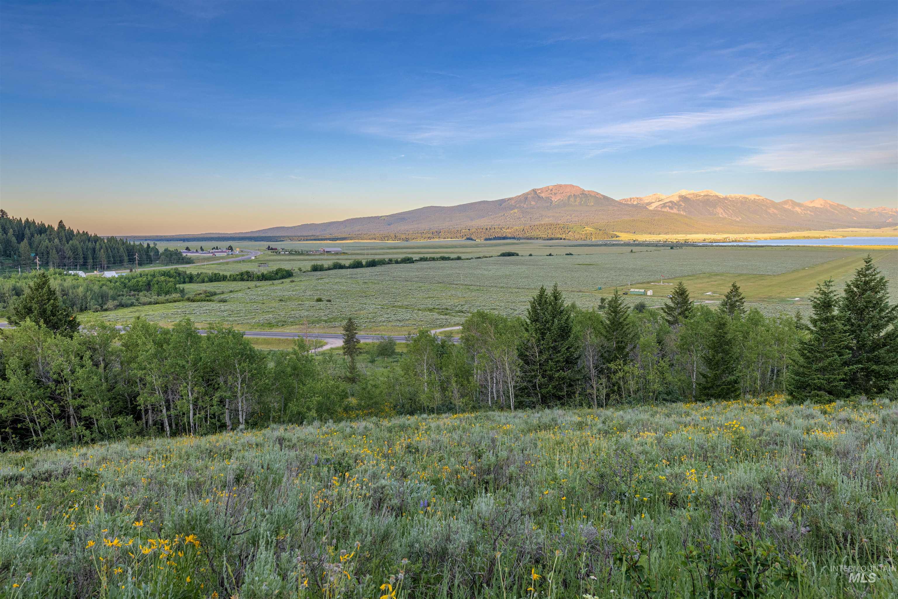 5215 Highway 20, Island Park, Idaho 83429, 3 Bedrooms, 1 Bathroom, Farm & Ranch For Sale, Price $2,850,000,MLS 98975004